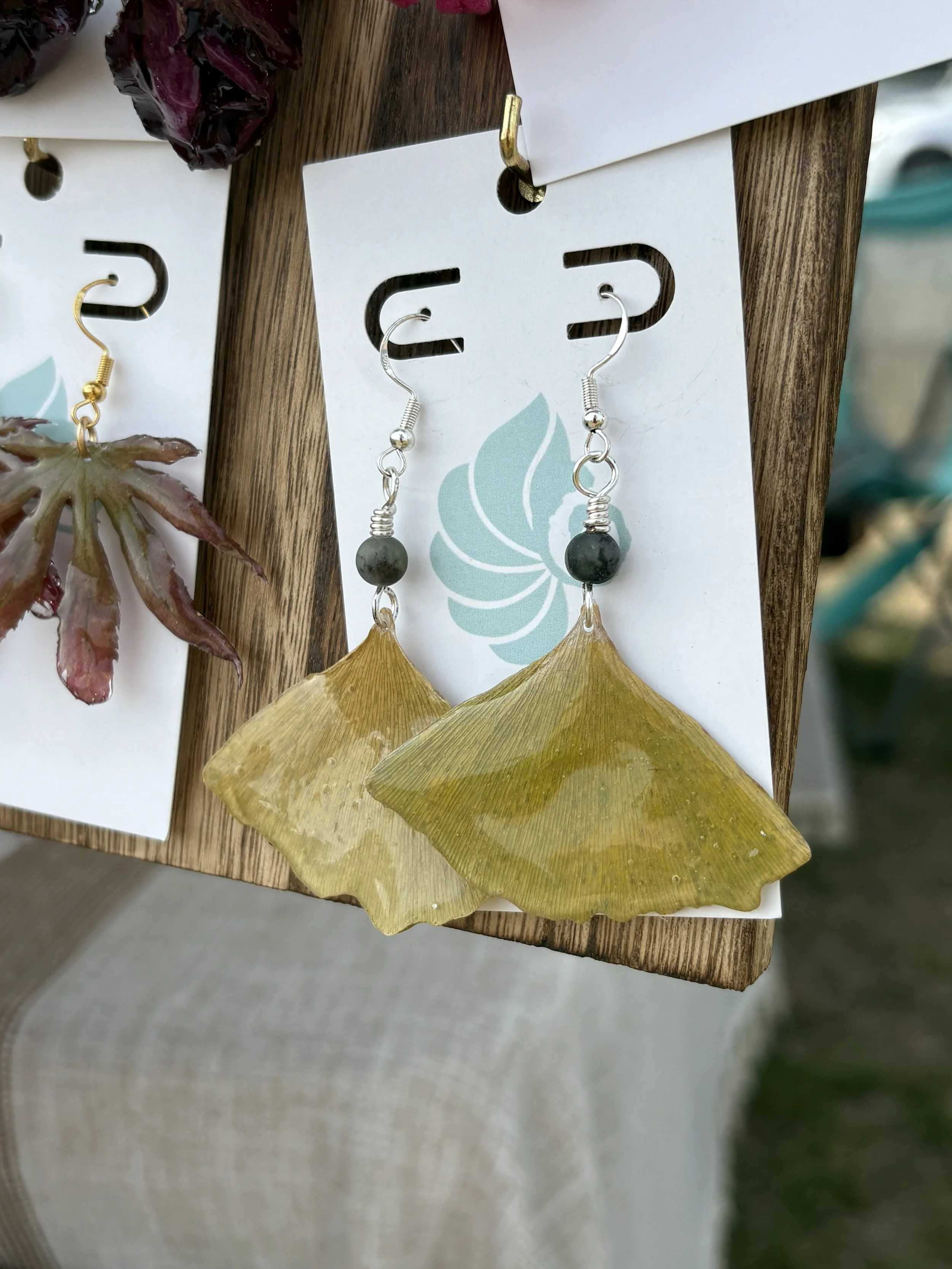 Real Ginkgo Leaf Earrings