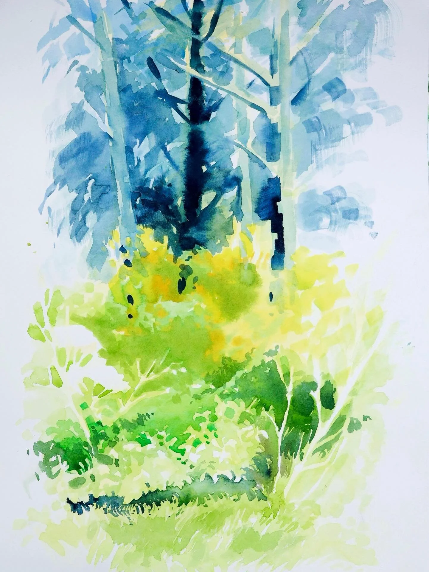 My watercolor plein airs ☘️✨🥹