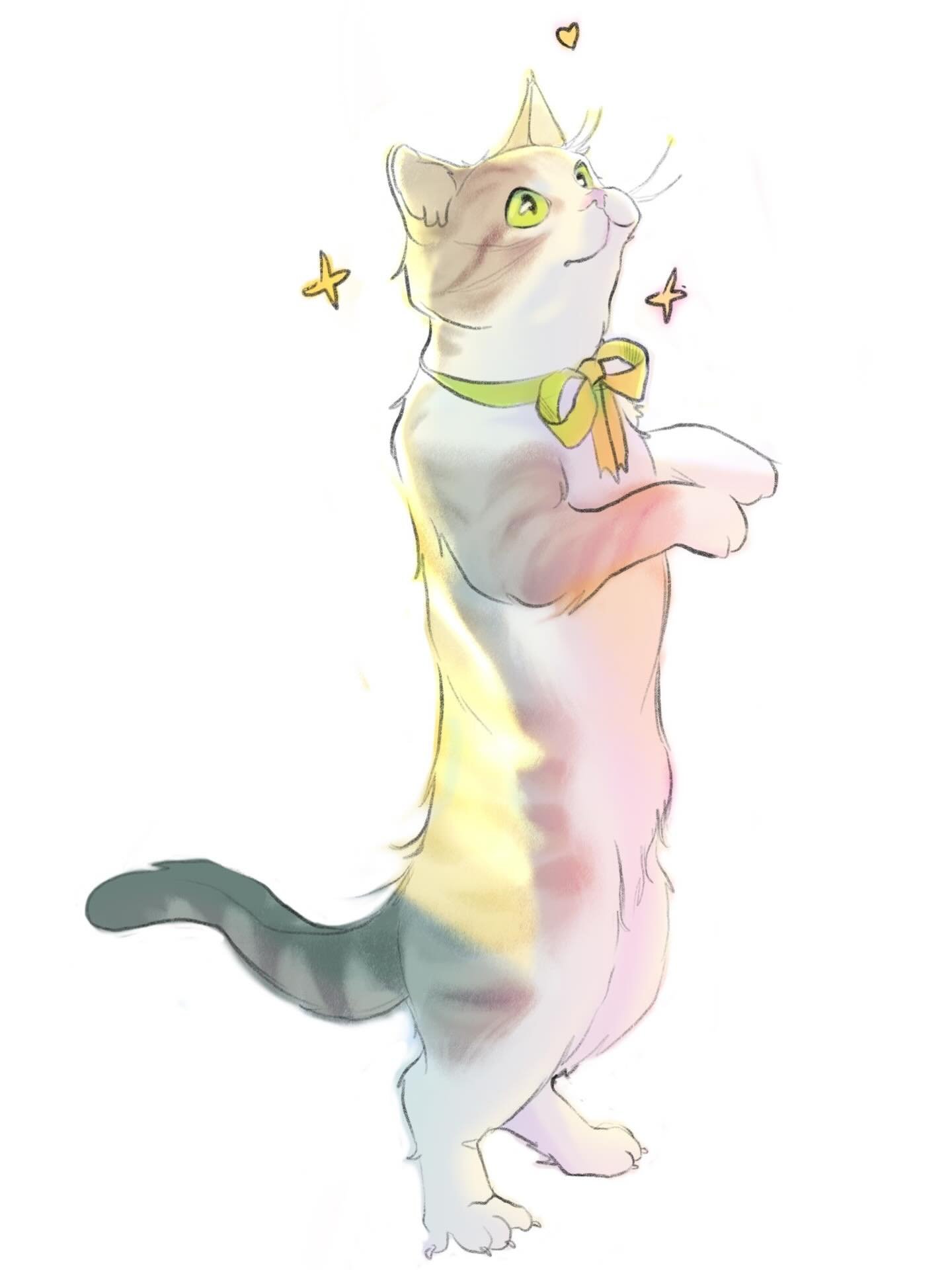 light study with my cat✨✨✨