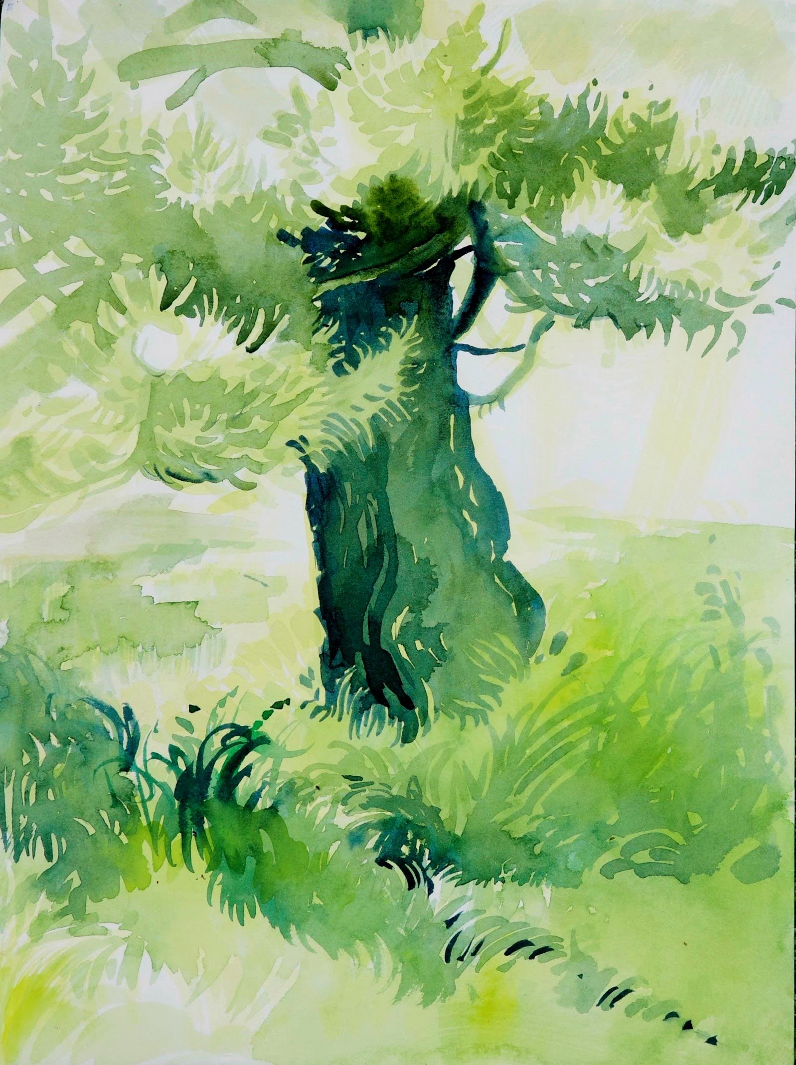 R0012569 Copy Copy Copy.JPG