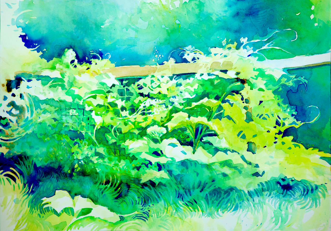 R0004449.png