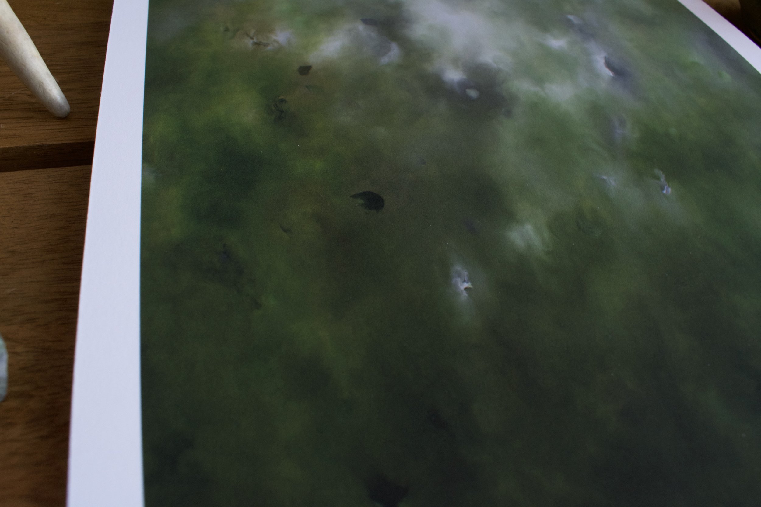 DSC_0121 2.jpeg