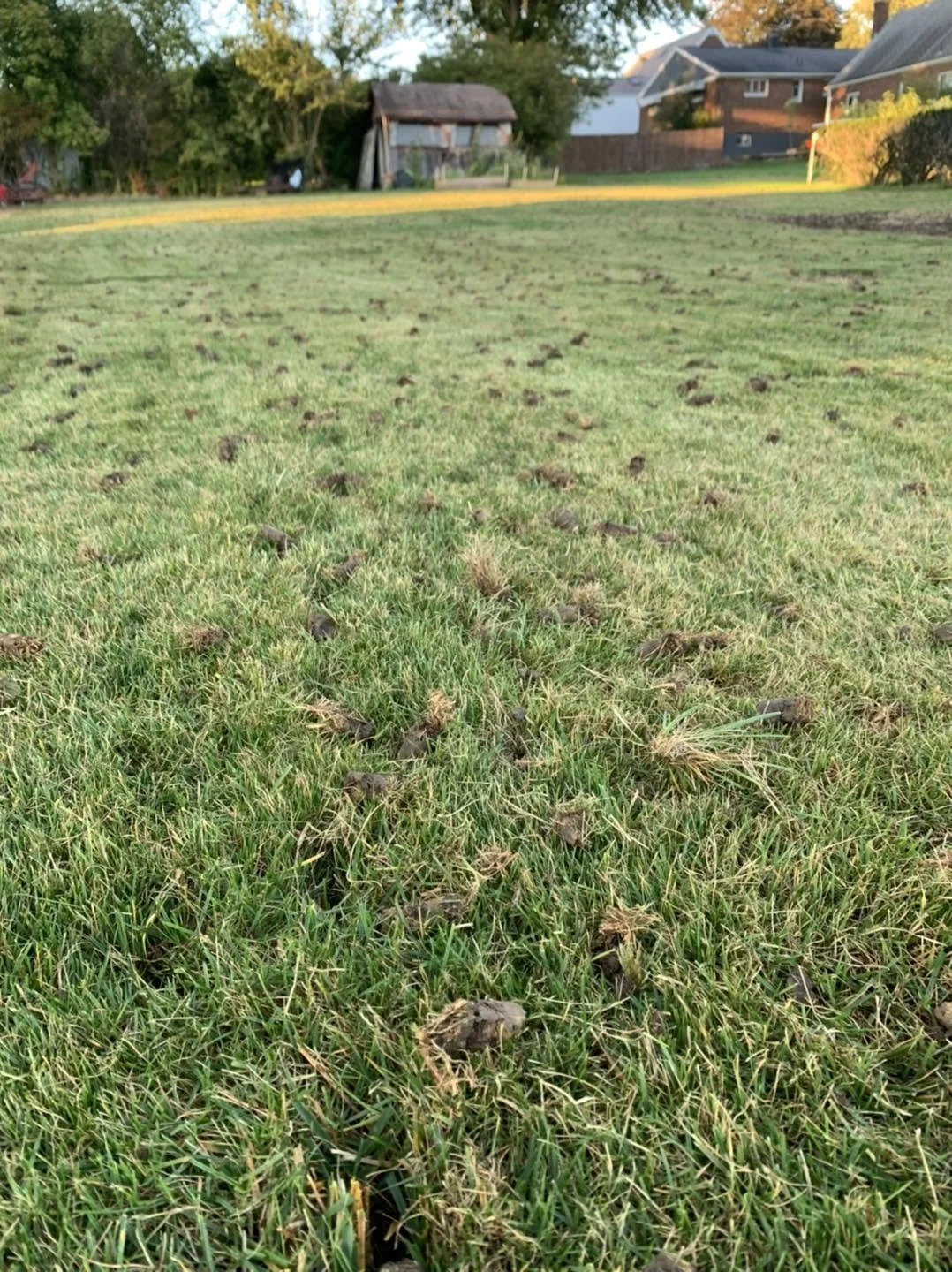 472573013_610386211723913_2662552413703719710_n.jpg