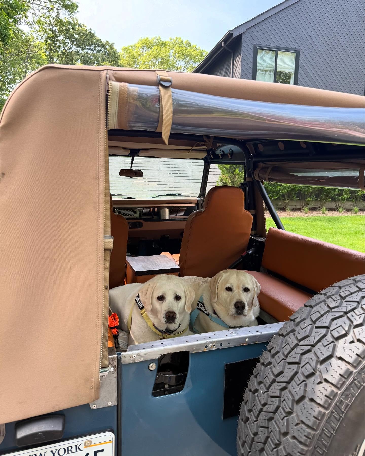 Two gorgeous pups, happy in their father's new toy (96 Defender 90, Arles Blue - Rever's most recent build delivery), enjoying East Hampton!