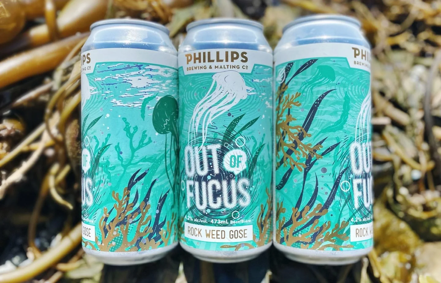 Out of Fucus Coming Back into View!