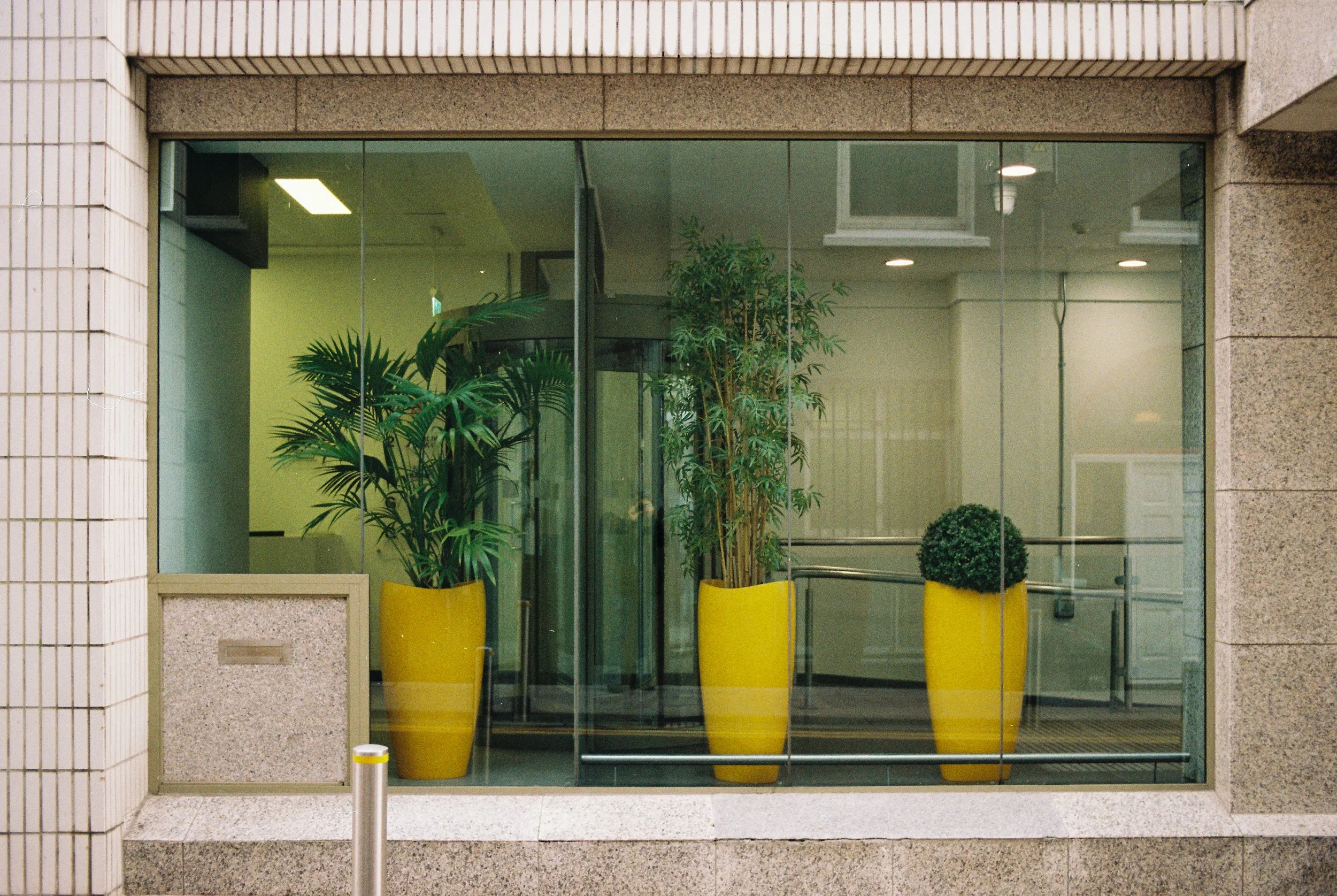 02.2026_Pentax MX_Kodak Gold 200-06205-003A.jpg