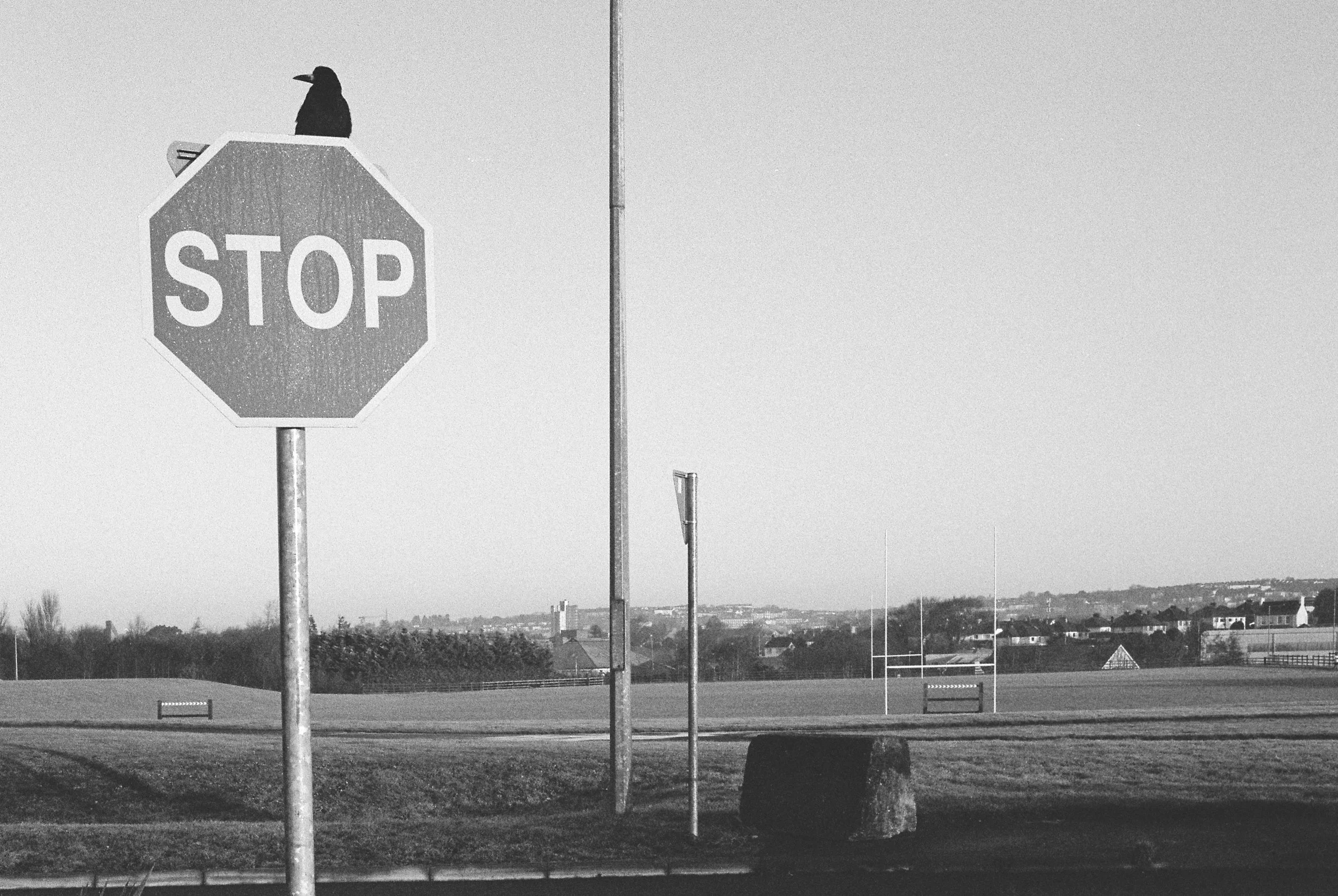 01.2026_Canon EOS 500_Ilford HP5 400-06607-0024.jpg