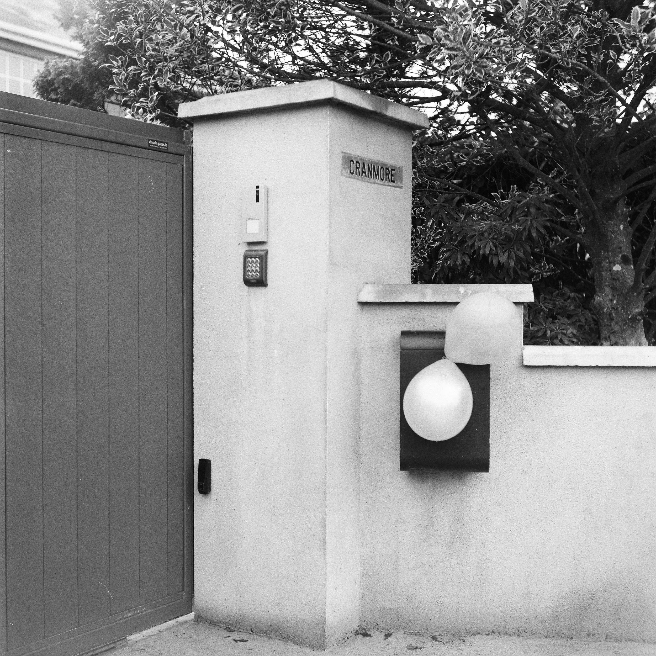 02.2026_Yashica D_Ilford HP5 400_c-06806-0005.jpg