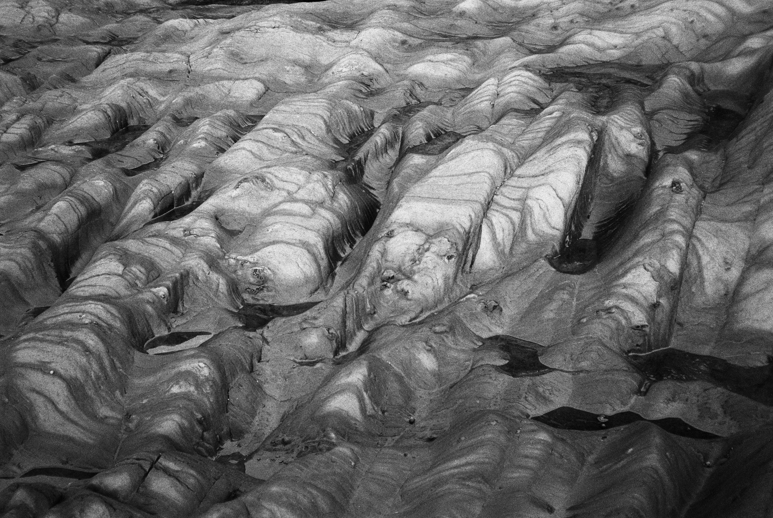 08.2026_Chinon Auto 3001_Ilford HP5 Plus_a-00101-0033.jpg