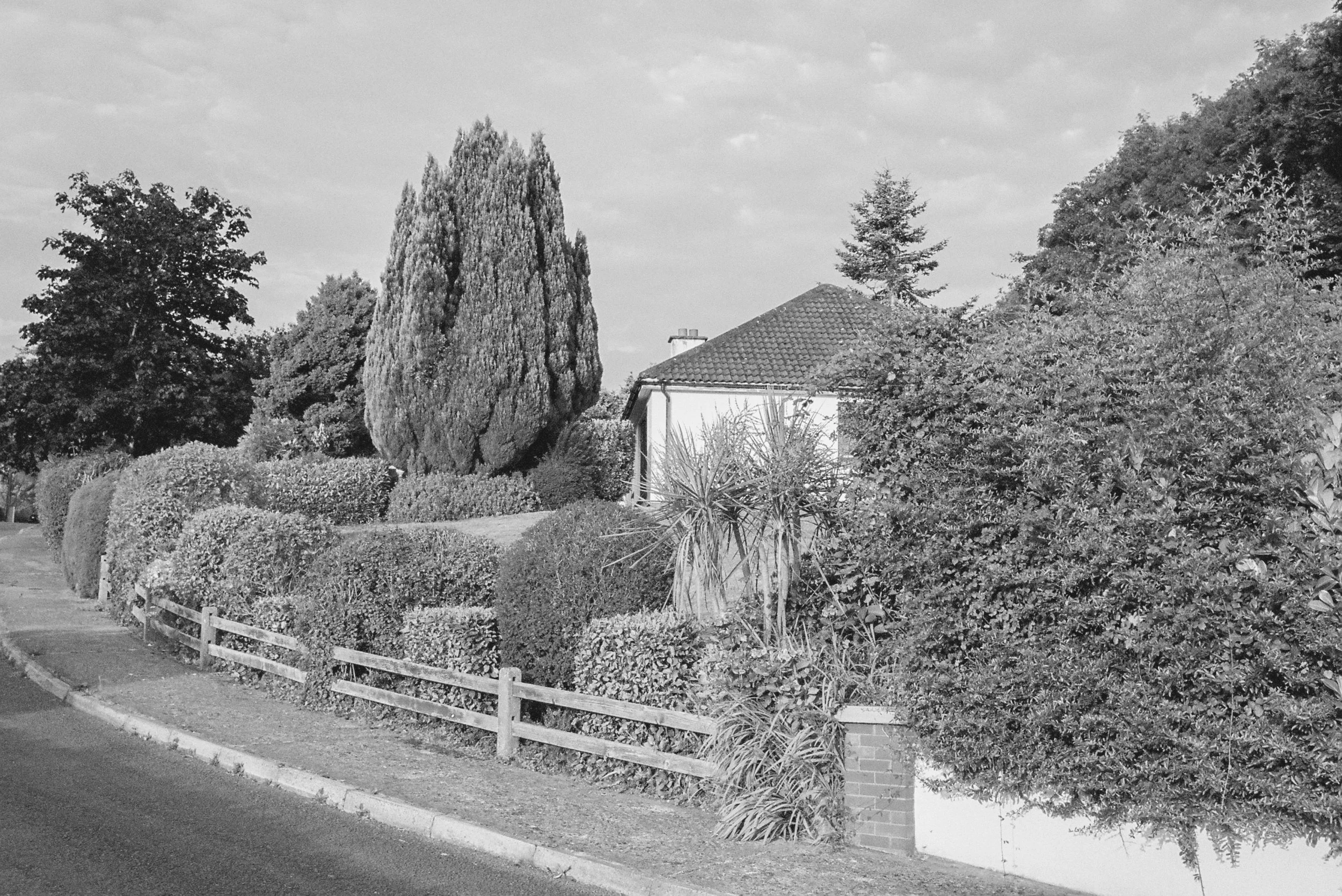 08.2022_Canon EOS 500_Lomo 800-07412-010A.jpg