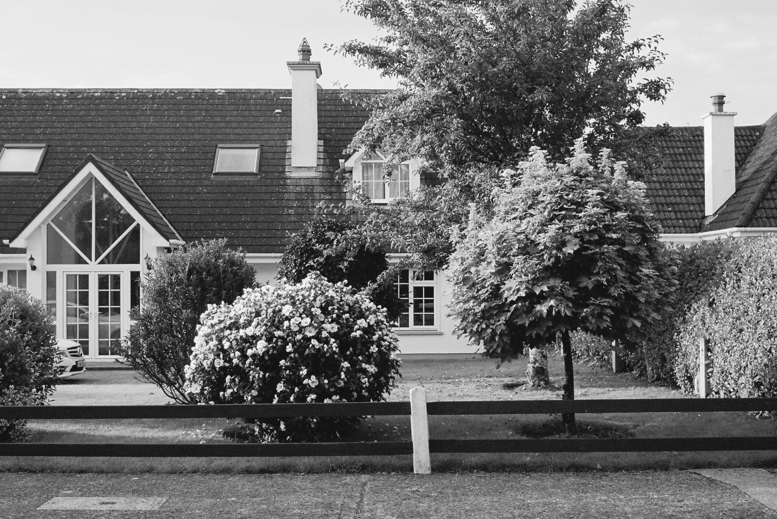 08.2022_Canon EOS 500_Lomo 800-07412-011A.jpg