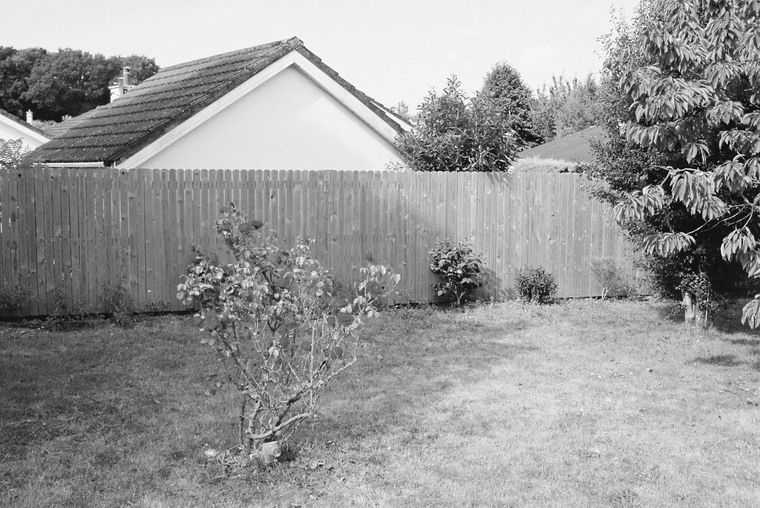 08.2022_Canon EOS 500_Portra 400_II-07403-0034.jpg