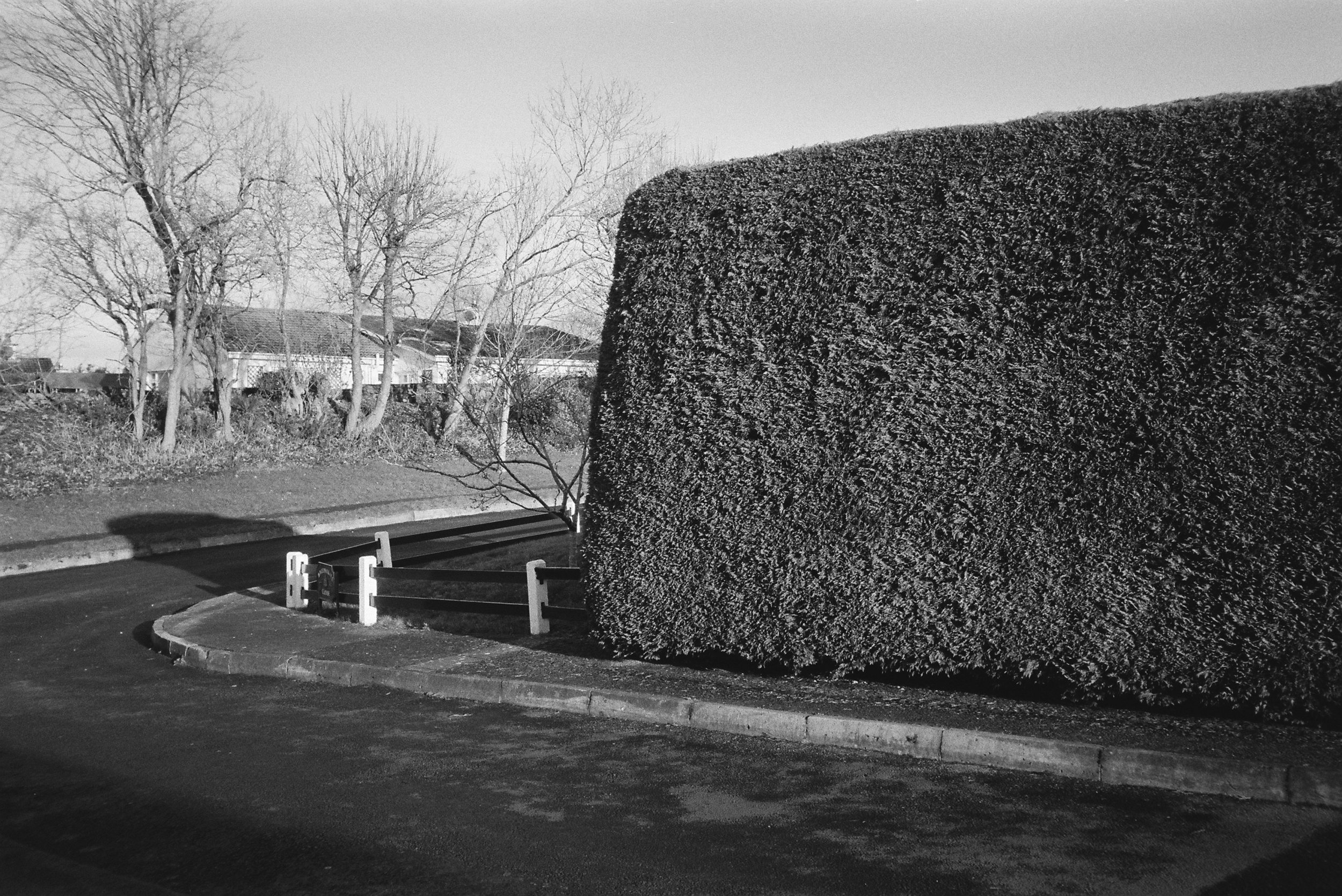 12.2022_Chinon Auto 3001_Ilford HP5-00868-0021.jpg