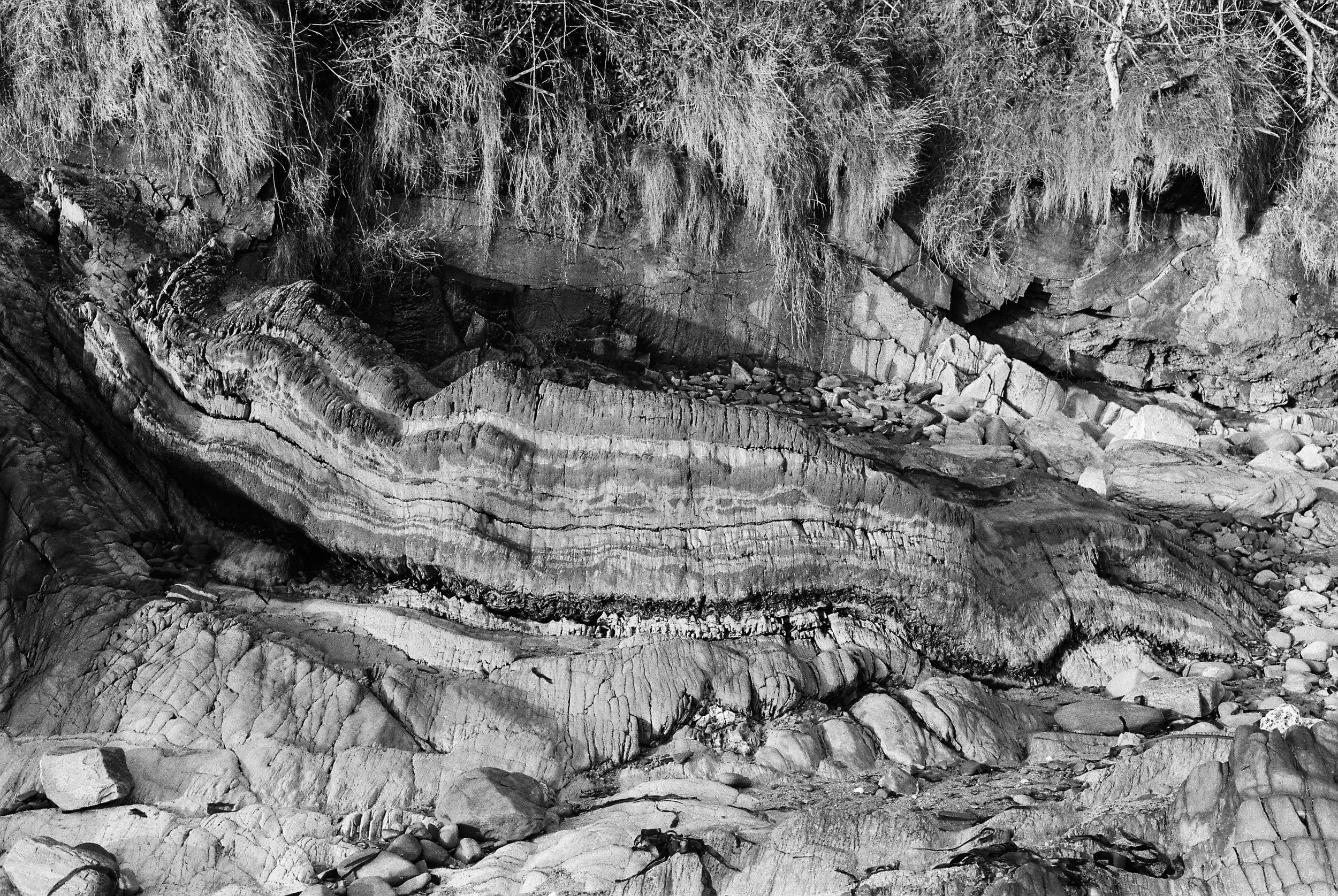 11.2025_Pentax MX_Ilford HP5 Plus 400-05094-0017.jpg