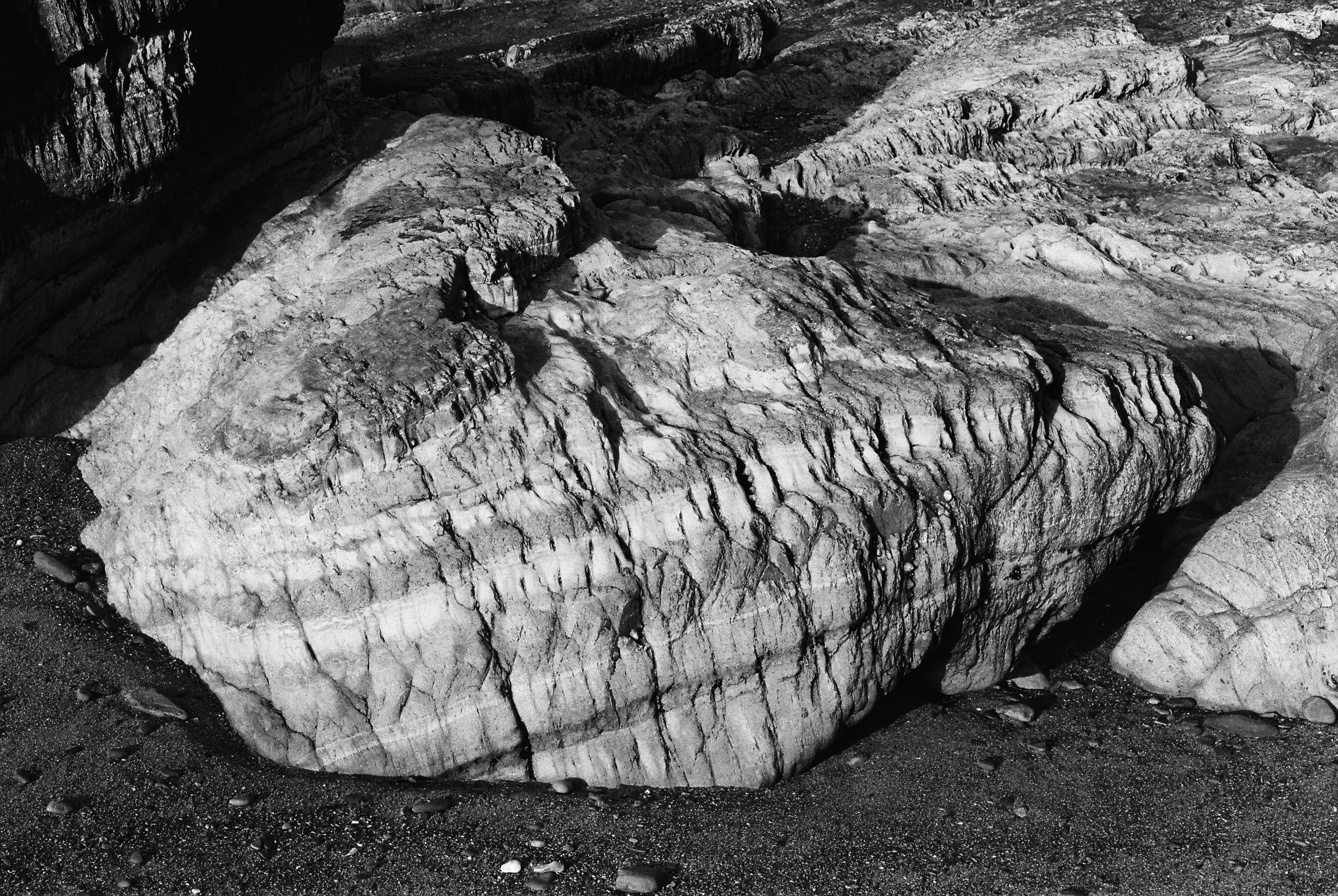 11.2025_Pentax MX_Ilford HP5 Plus 400-05094-0021.jpg