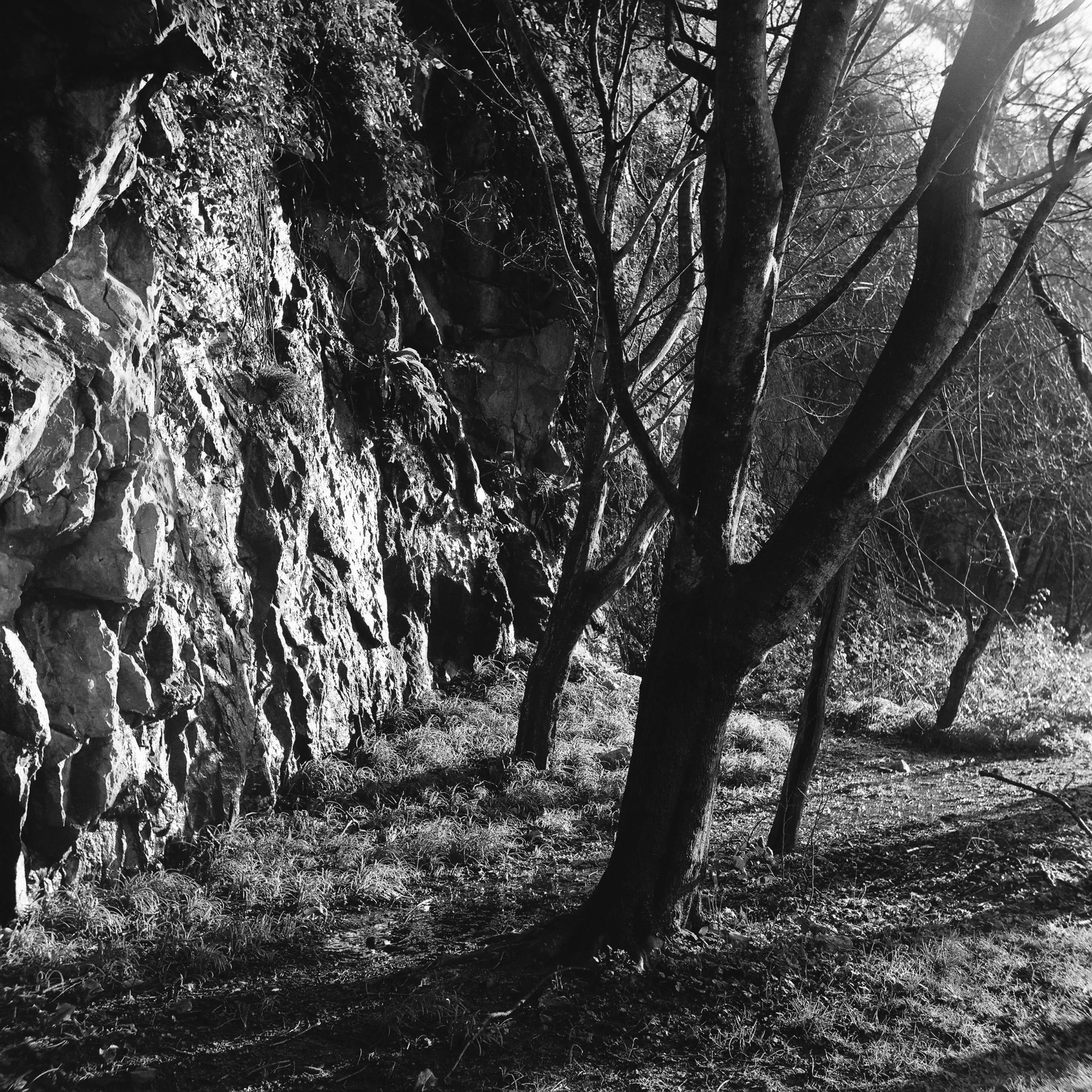 01.2026_Yashica D_Ilford HP5 Plus 200-06143-0005.jpg