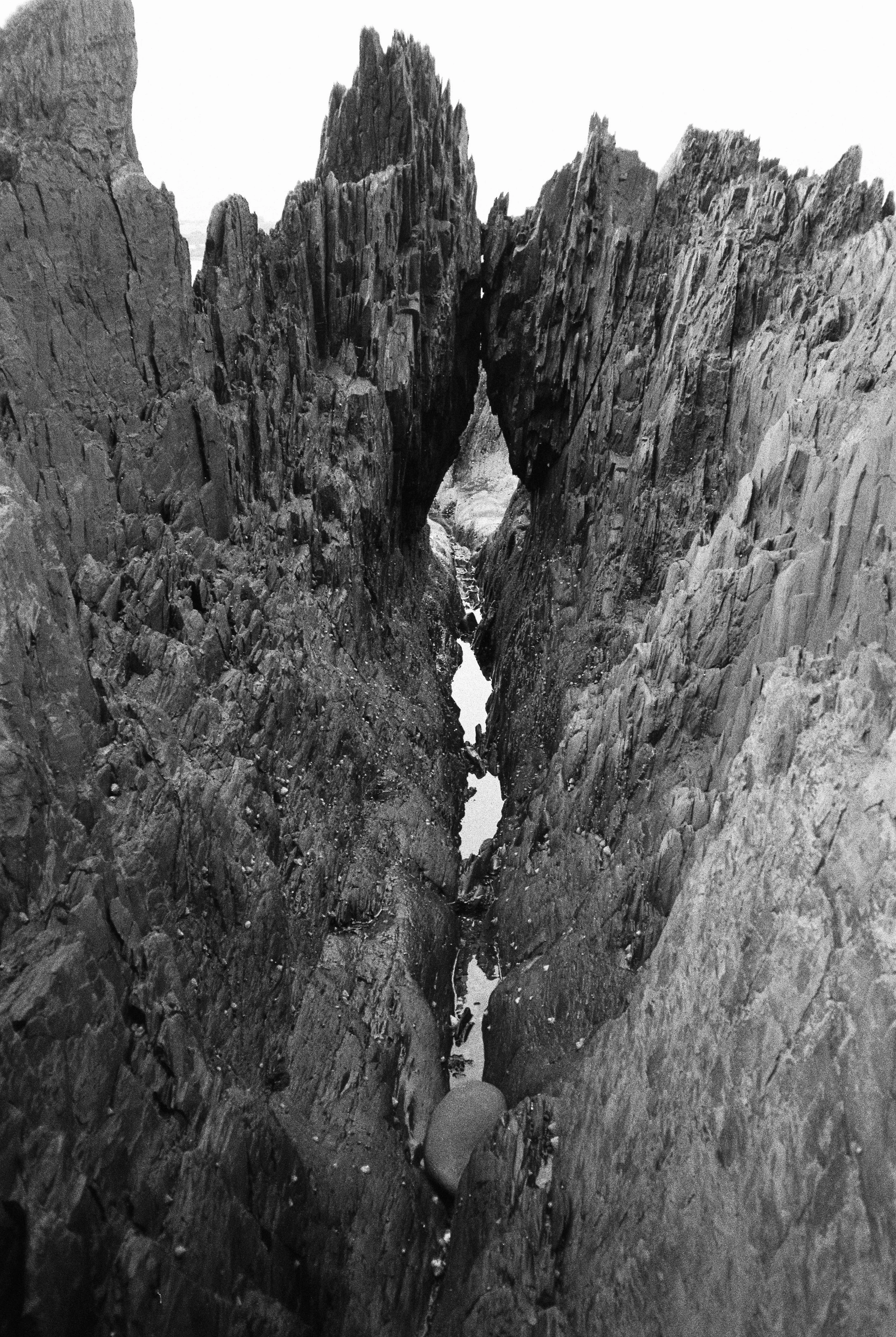 08.2026_Chinon Auto 3001_Ilford HP5 Plus_a-00101-0031.jpg