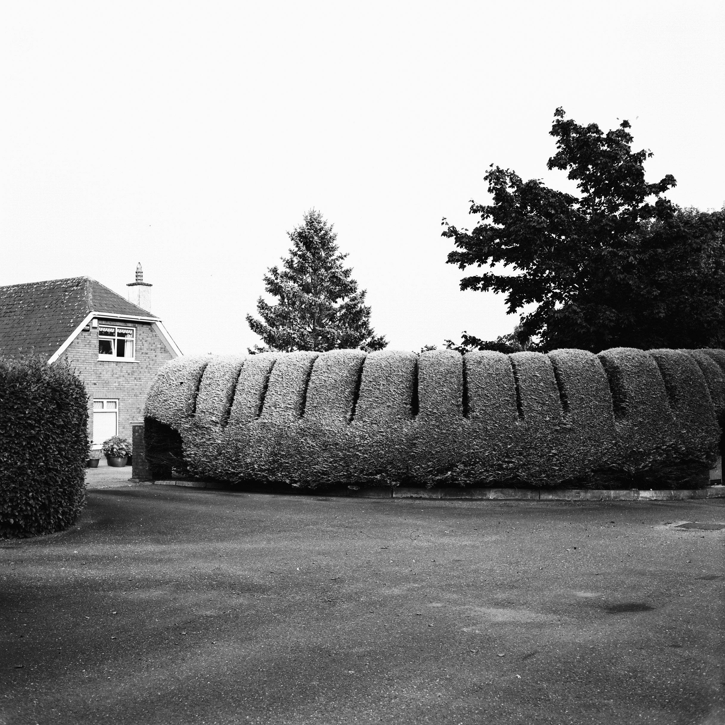 08.2025_Fujica Super 6_Ilford Delta 100-05022-0000.jpg