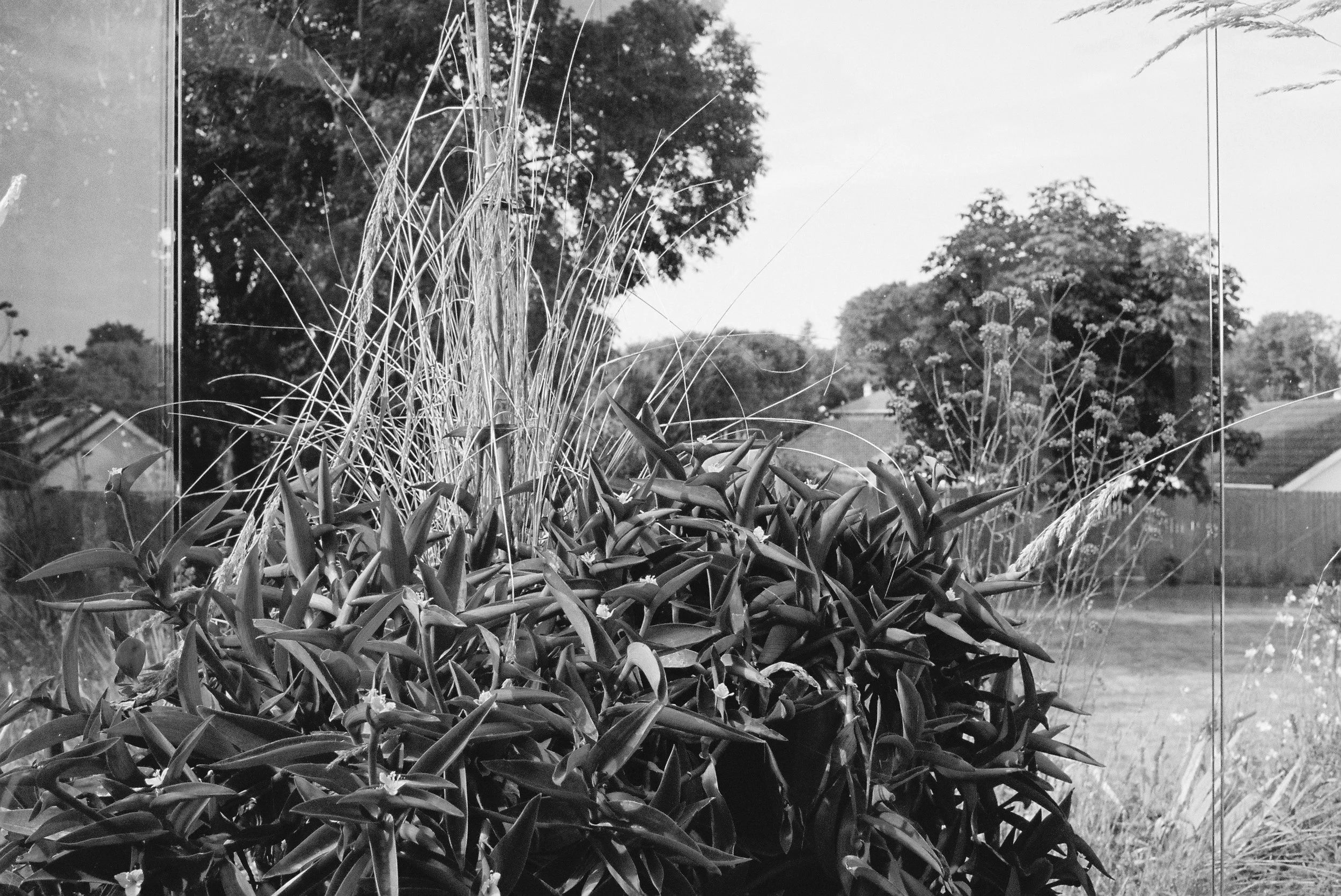 08.2022_Canon EOS 500_Portra 400_II-07403-0032.jpg