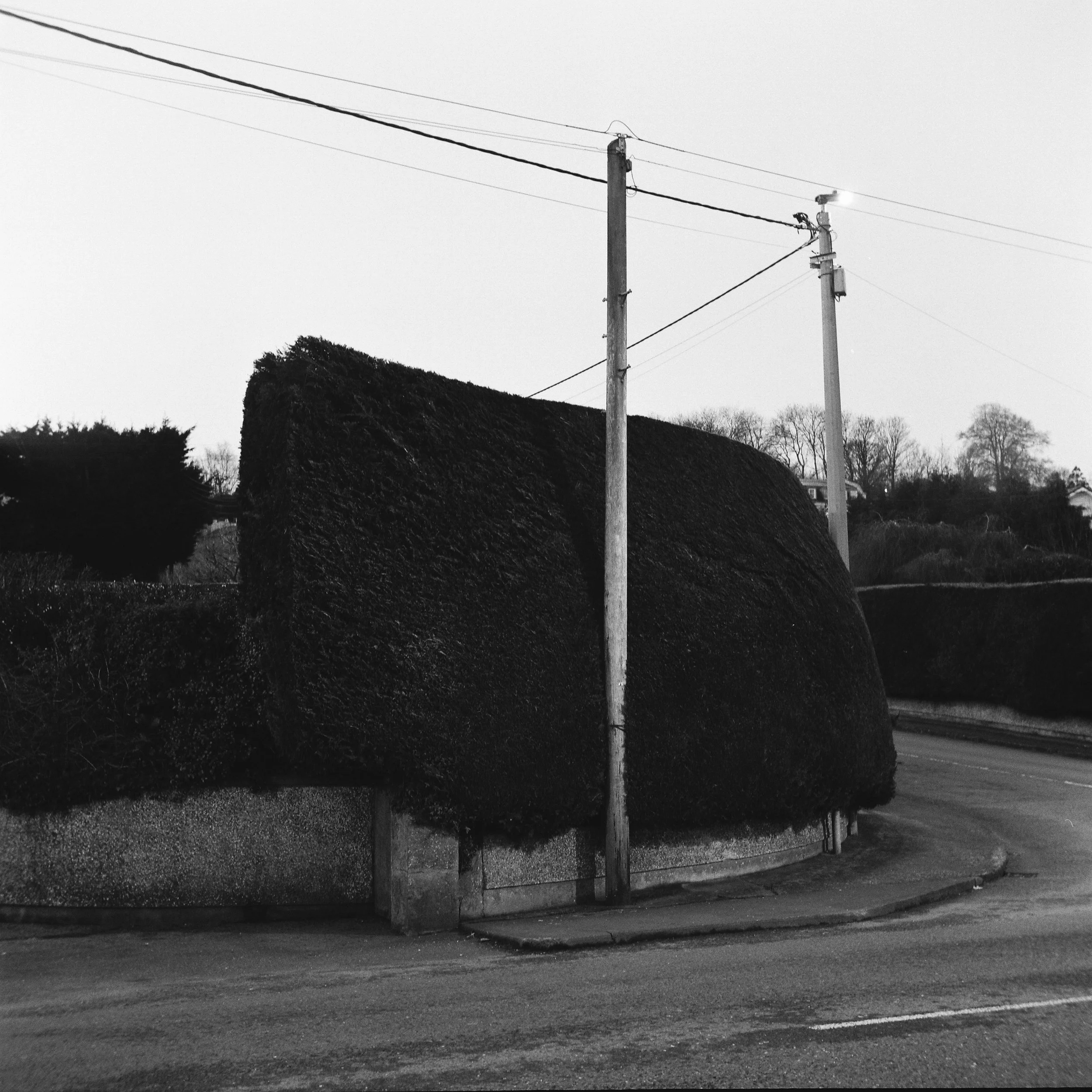 02.2026_Yashica D_Ilford HP5 400_c-06806-0000.jpg