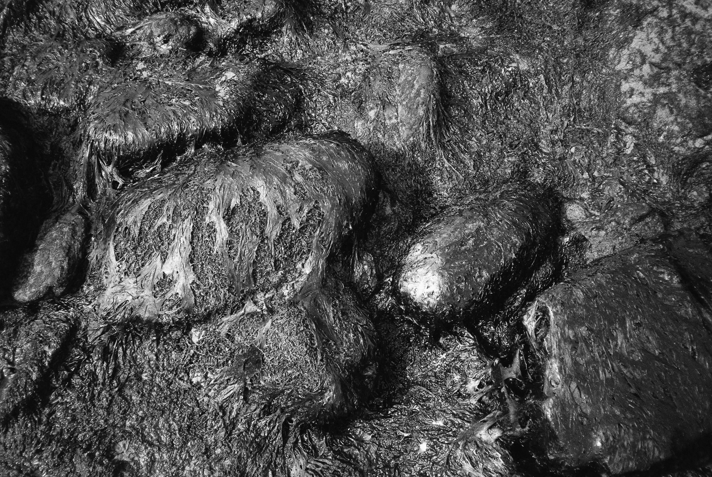 08.2026_Chinon Auto 3001_Ilford HP5 Plus_a-00101-0015.jpg