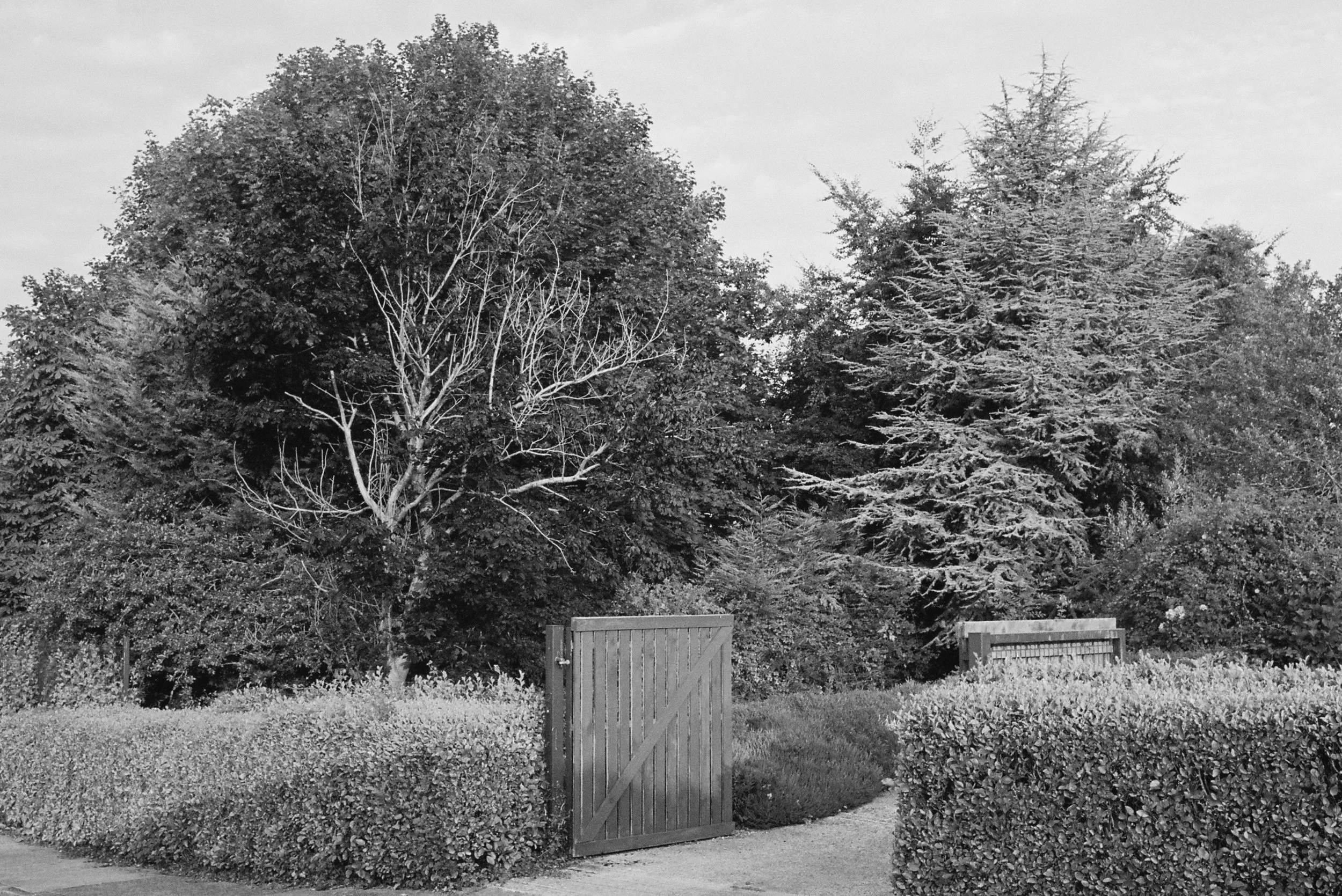 08.2022_Canon EOS 500_Lomo 800-07412-007A.jpg