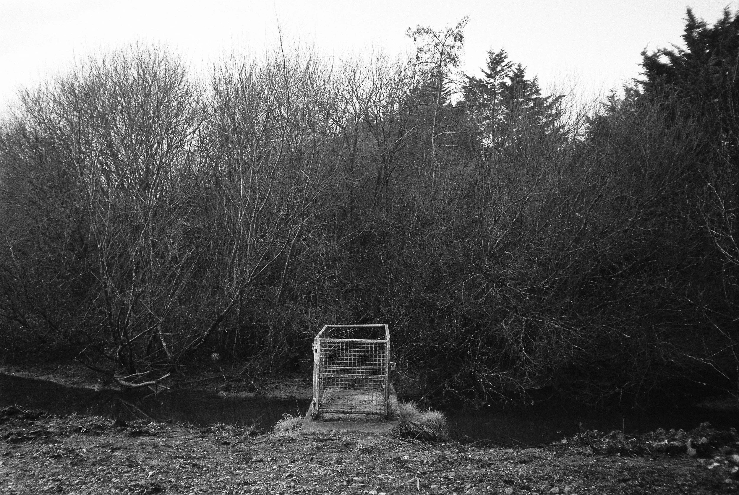 01.2026_Chinon Auto 3001_Ilford HP5 Plus 400-06057-0005.jpg