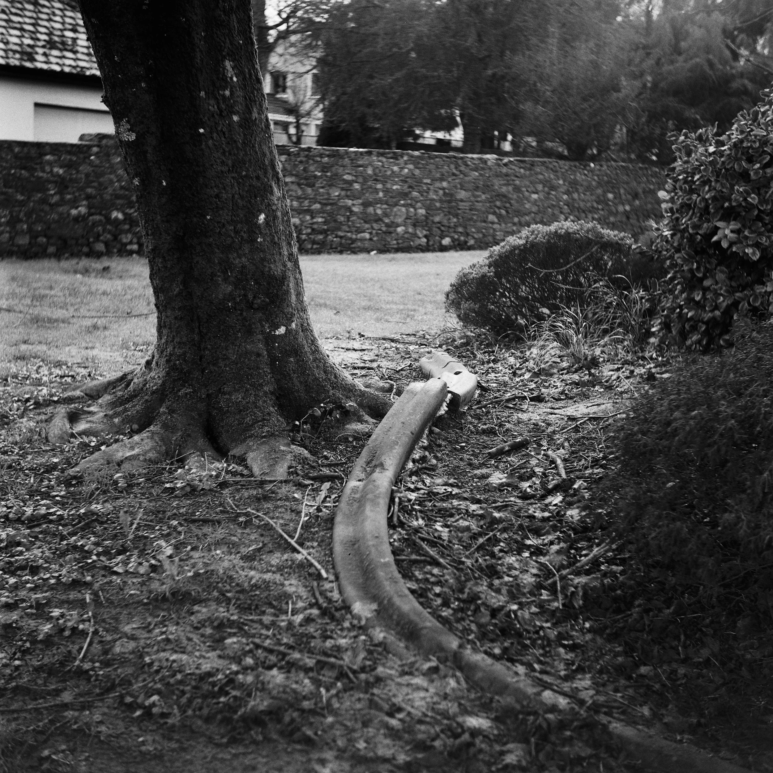 02.2026_Yashica D_Ilford HP5 400_c-06806-0008.jpg