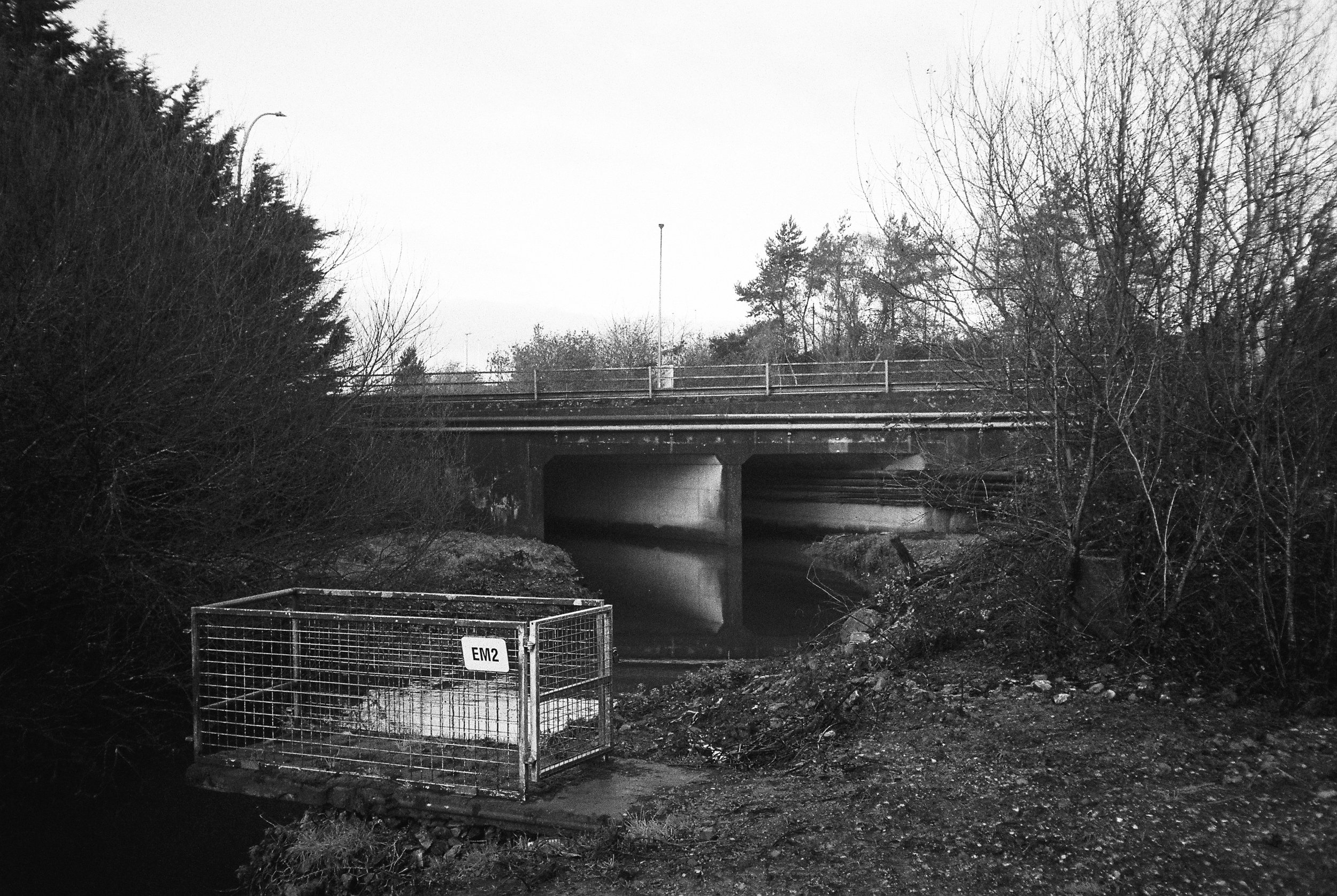 01.2026_Chinon Auto 3001_Ilford HP5 Plus 400-06057-0004.jpg