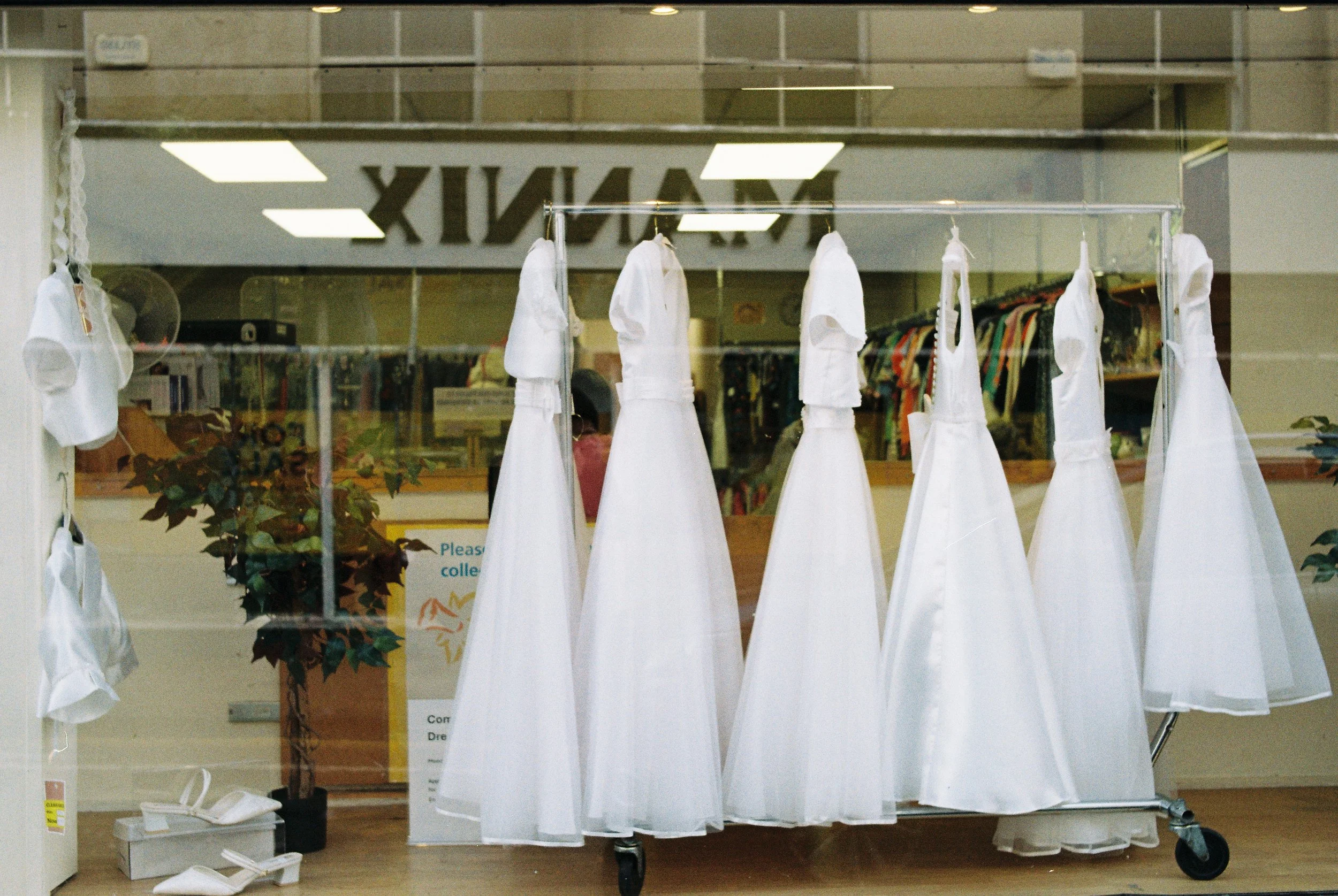 02.2026_Pentax MX_Kodak Gold 200-06205-017A.jpg