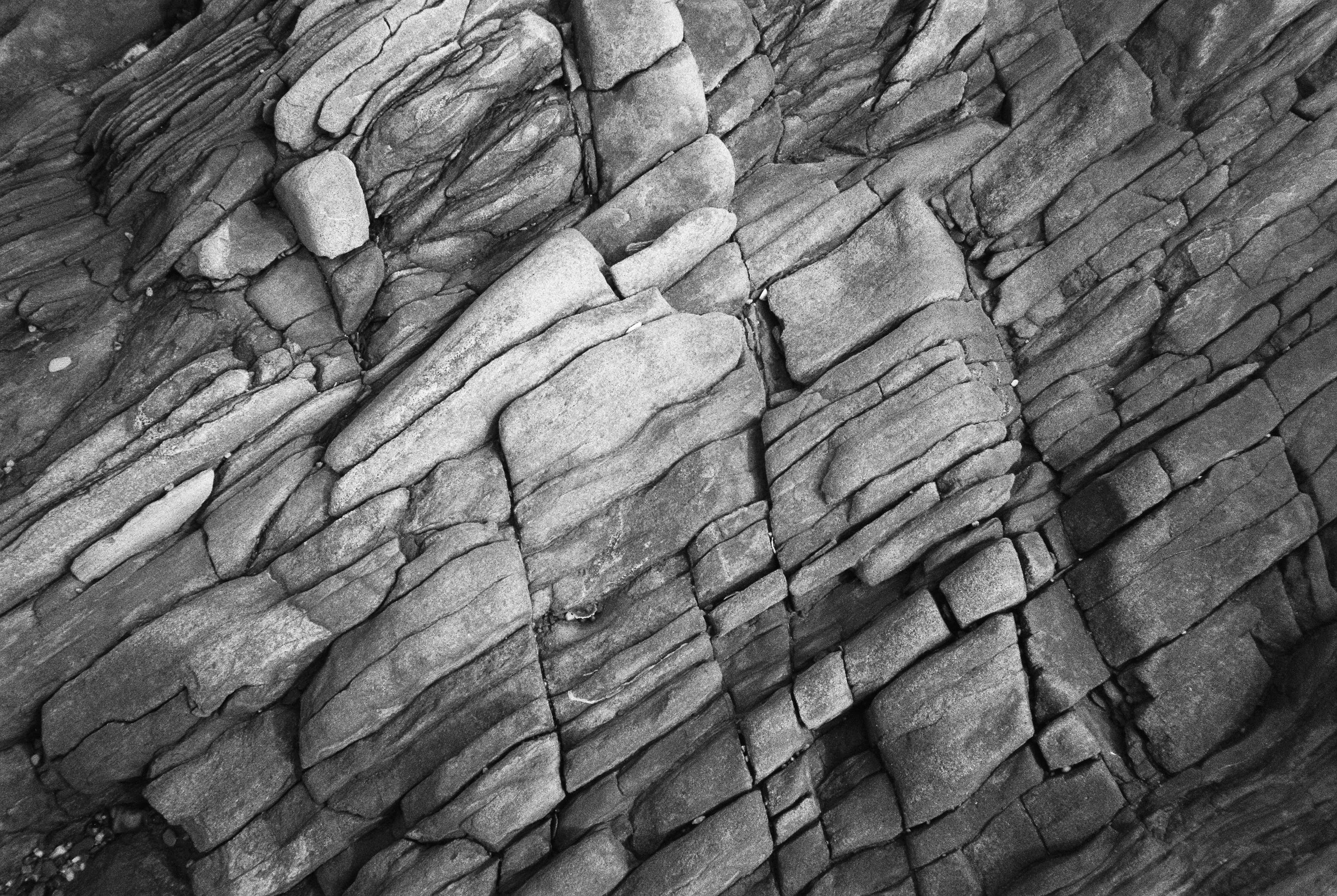 08.2026_Chinon Auto 3001_Ilford HP5 Plus_a-00101-0020.jpg