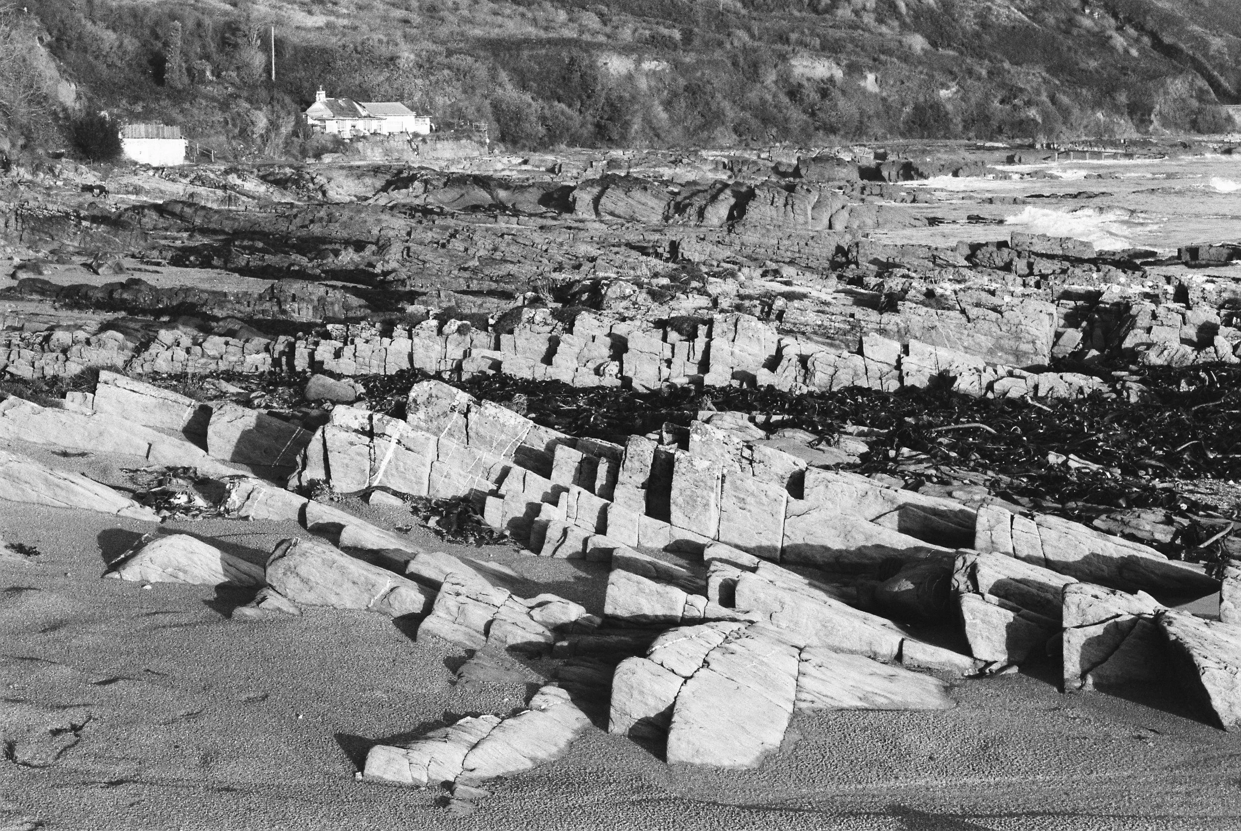 11.2025_Pentax MX_Ilford HP5 Plus 400-05094-0012.jpg