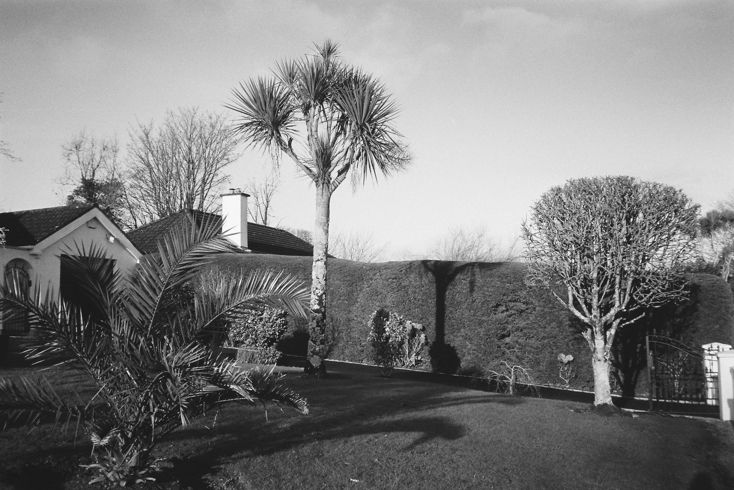 12.2022_Chinon Auto 3001_Ilford HP5-00868-0019.jpg