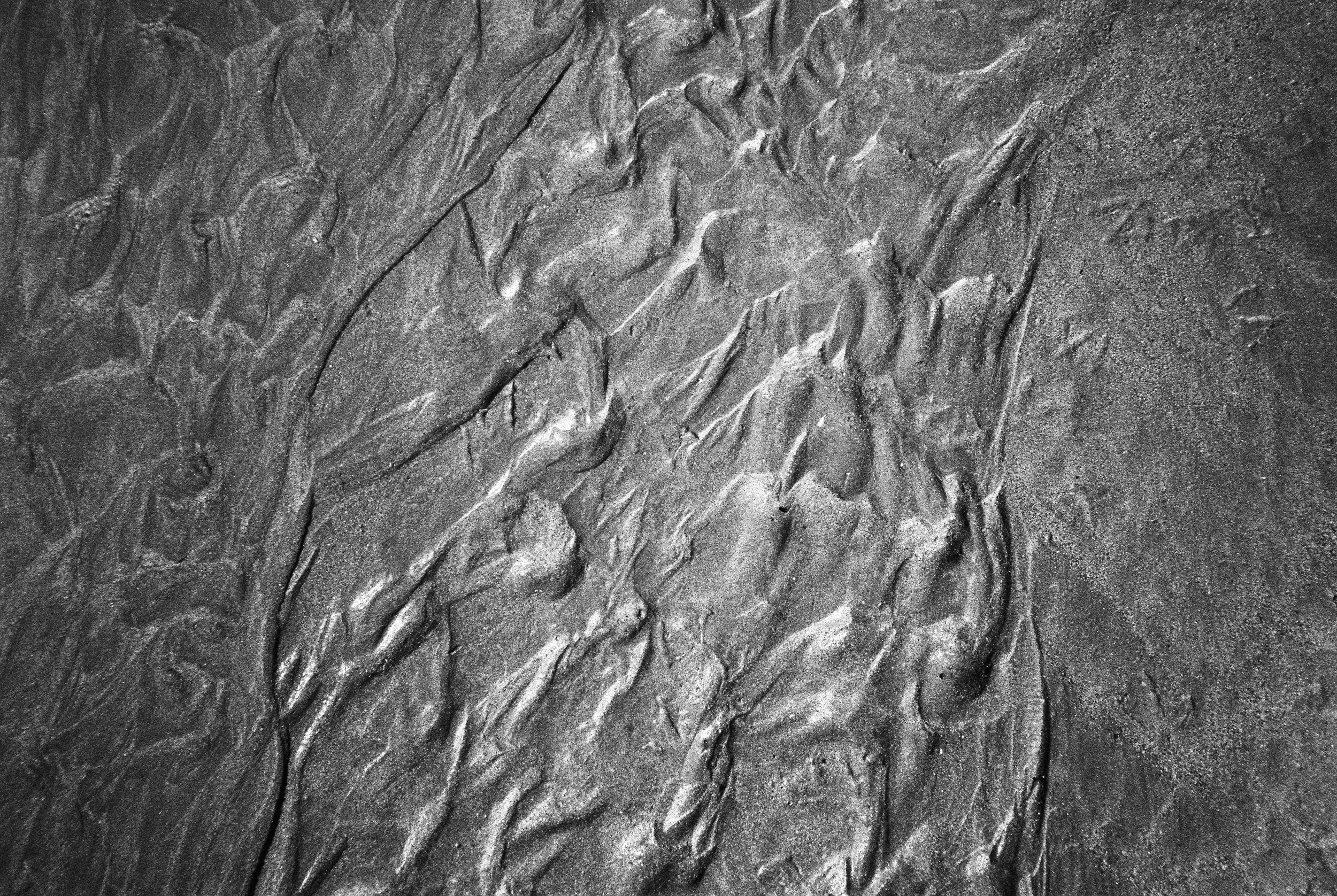 08.2026_Chinon Auto 3001_Ilford HP5 Plus_a-00101-0014.jpg