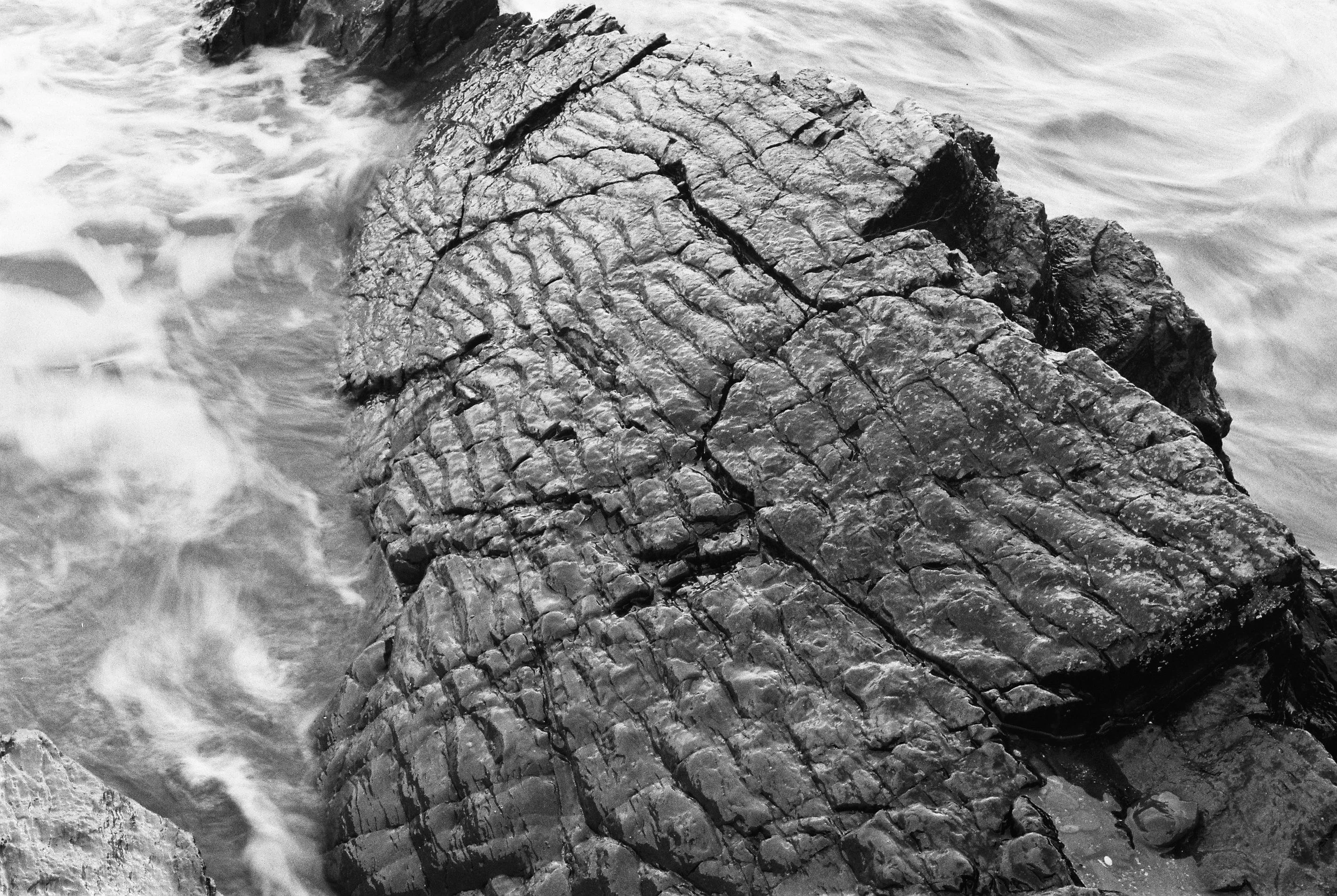 Graball Bay, Crosshaven, County Cork, Ireland, December 2025