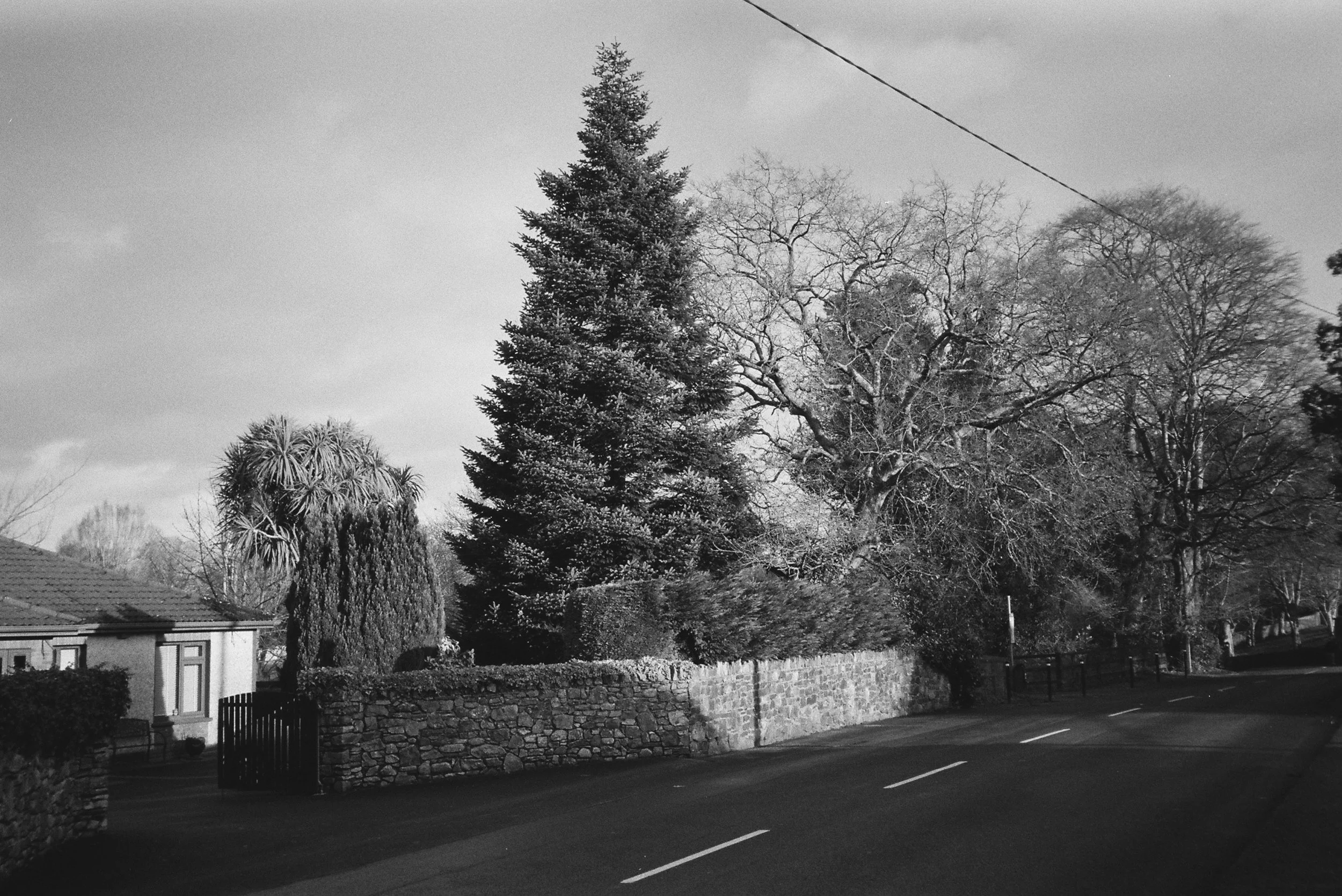 12.2022_Chinon Auto 3001_Ilford HP5-00868-0012-2.jpg