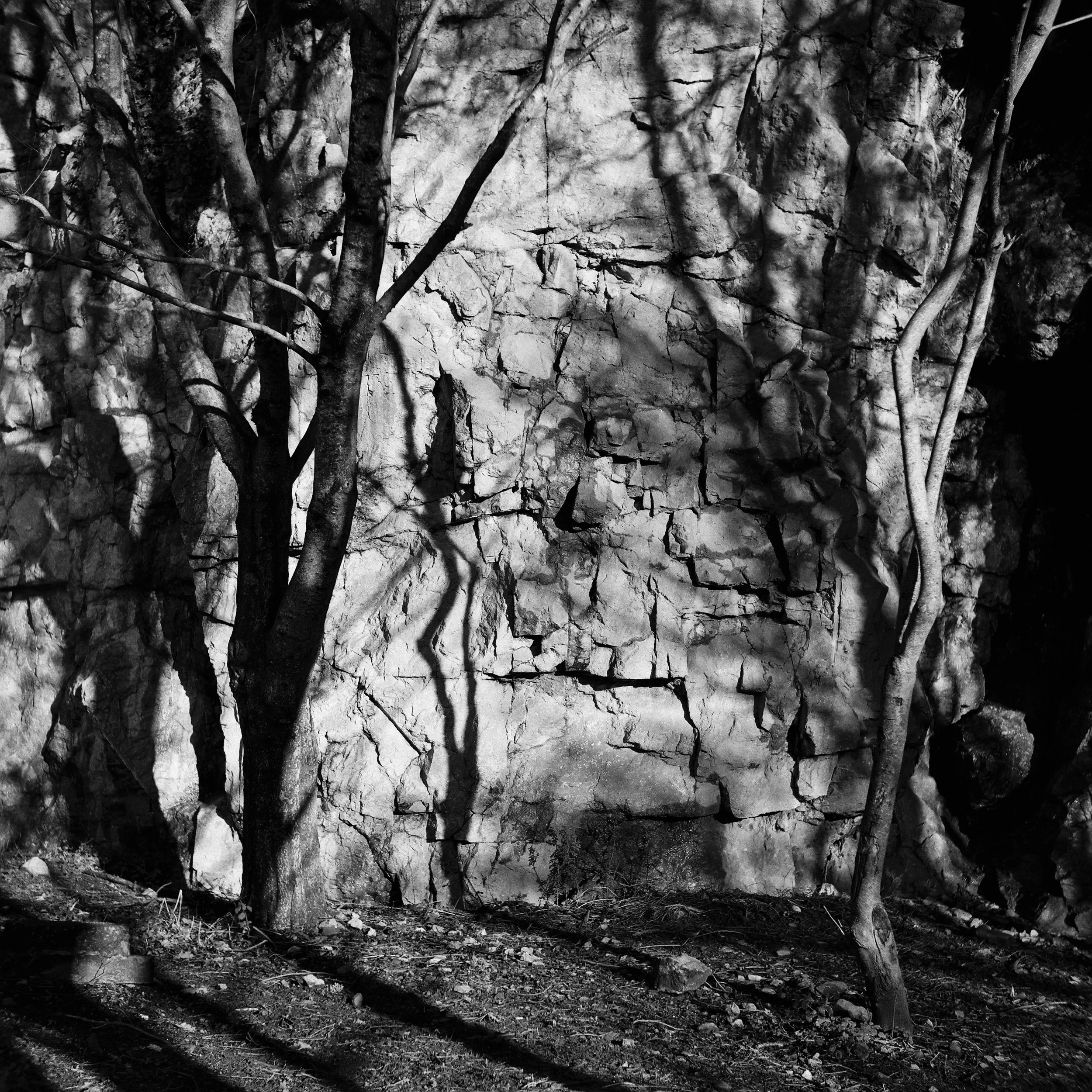 02.2026_Yashica D_Ilford HP5 400_b-06805-0009.jpg