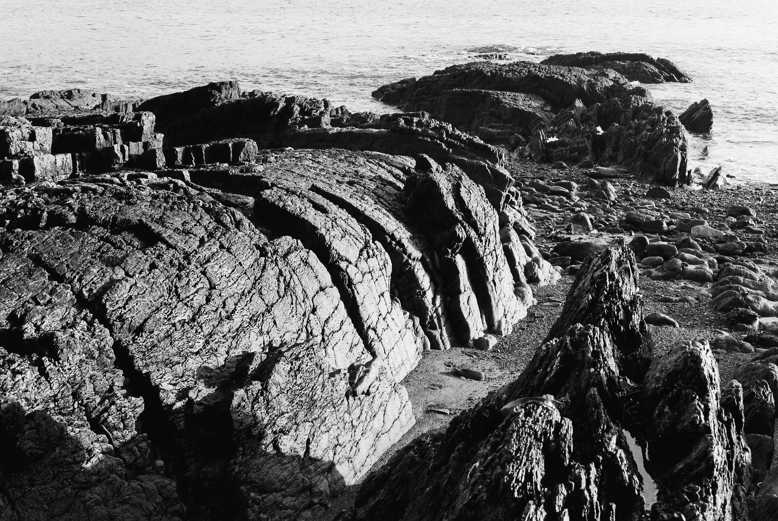 11.2025_Pentax MX_Ilford HP5 Plus 400-05094-0013.jpg