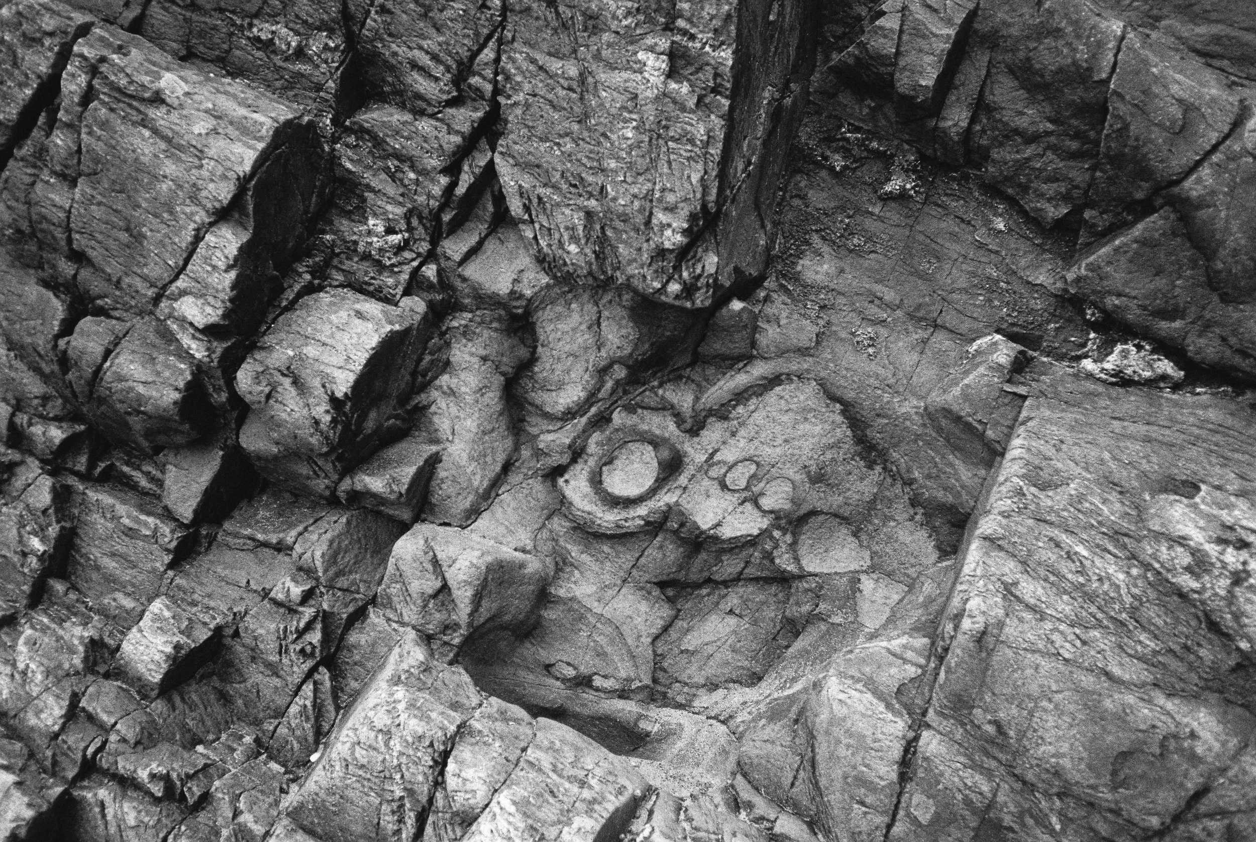 08.2026_Chinon Auto 3001_Ilford HP5 Plus_b-01910-0003.jpg