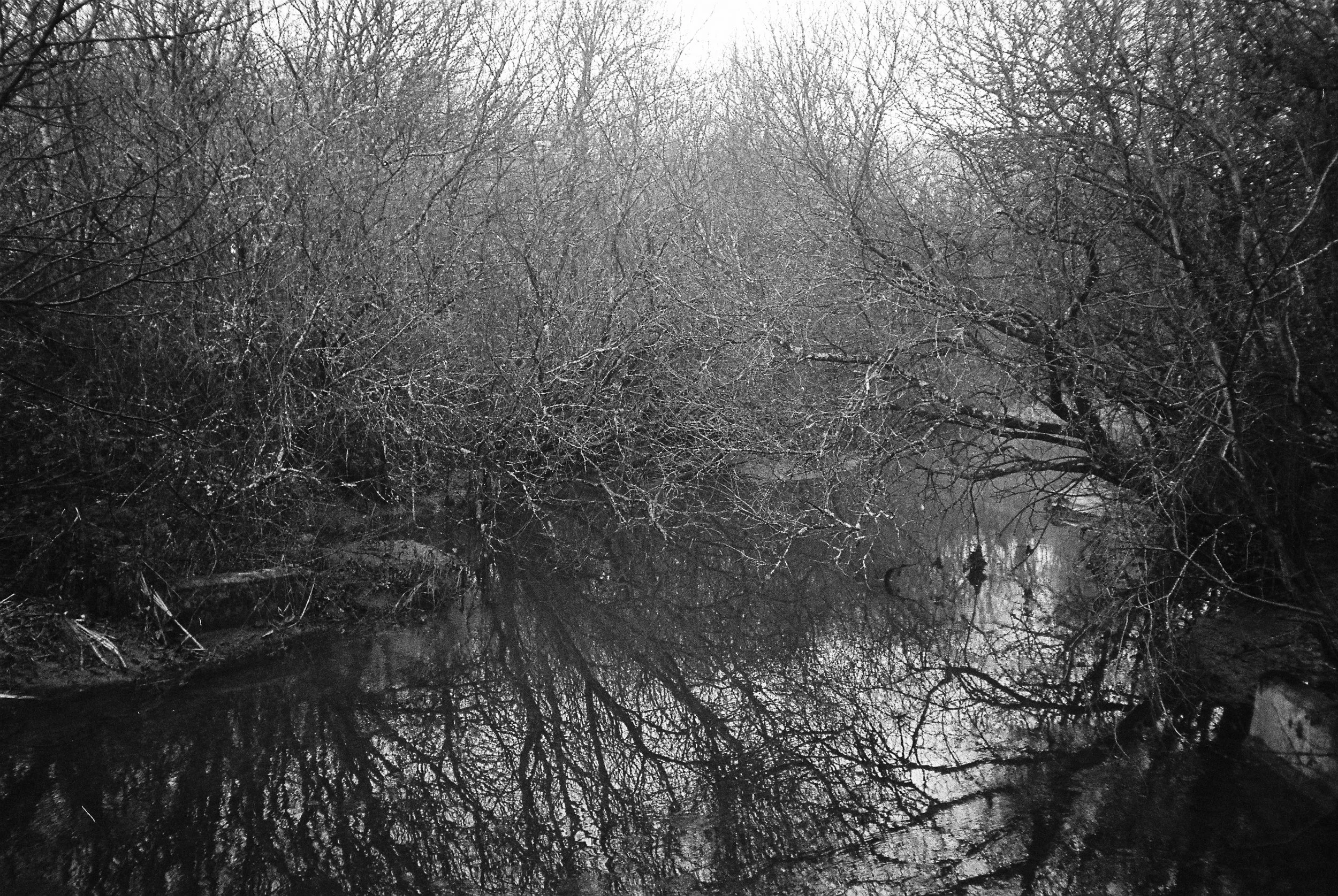 01.2026_Chinon Auto 3001_Ilford HP5 Plus 400-06057-0001.jpg