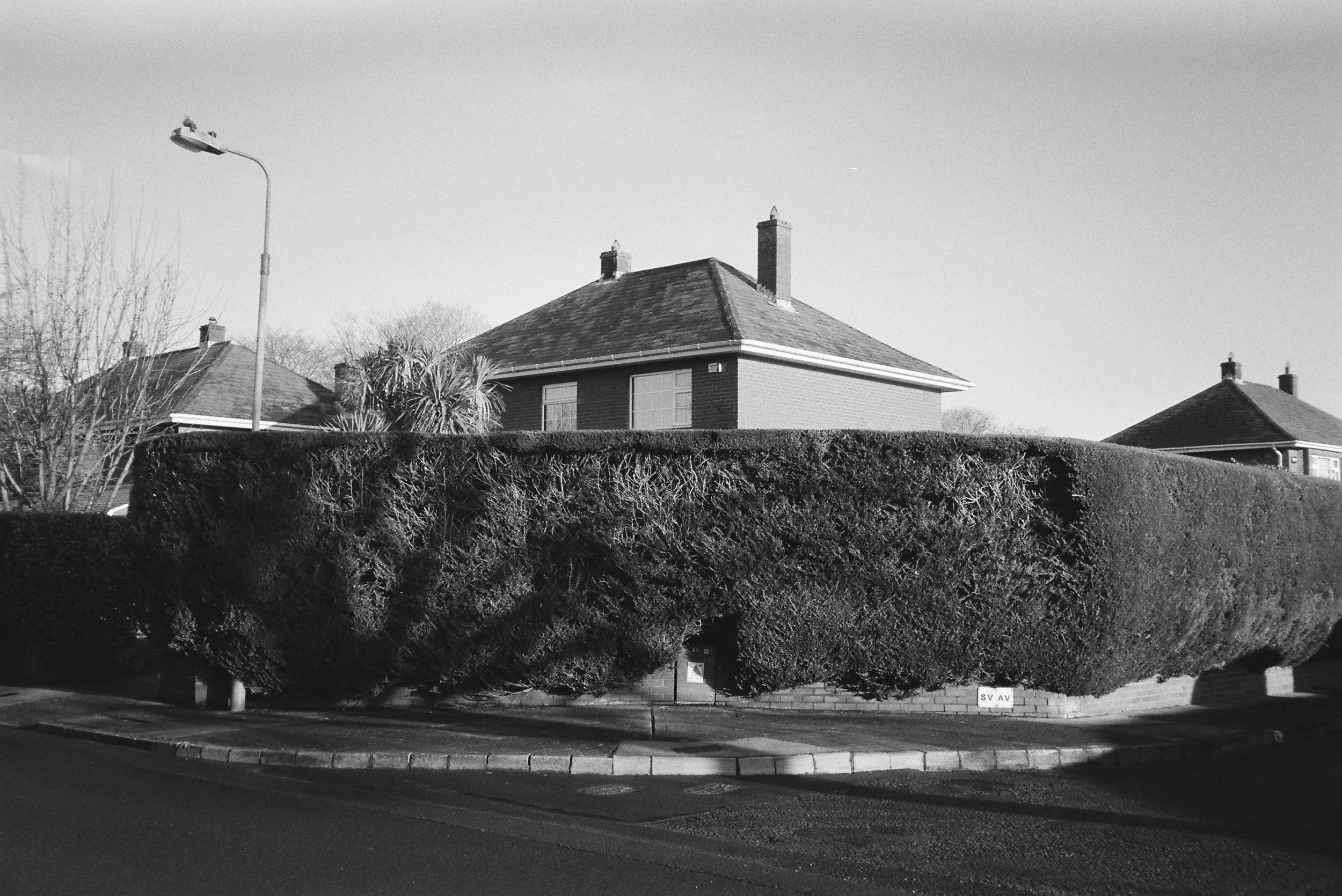 12.2022_Chinon Auto 3001_Ilford HP5-00868-0015.jpg