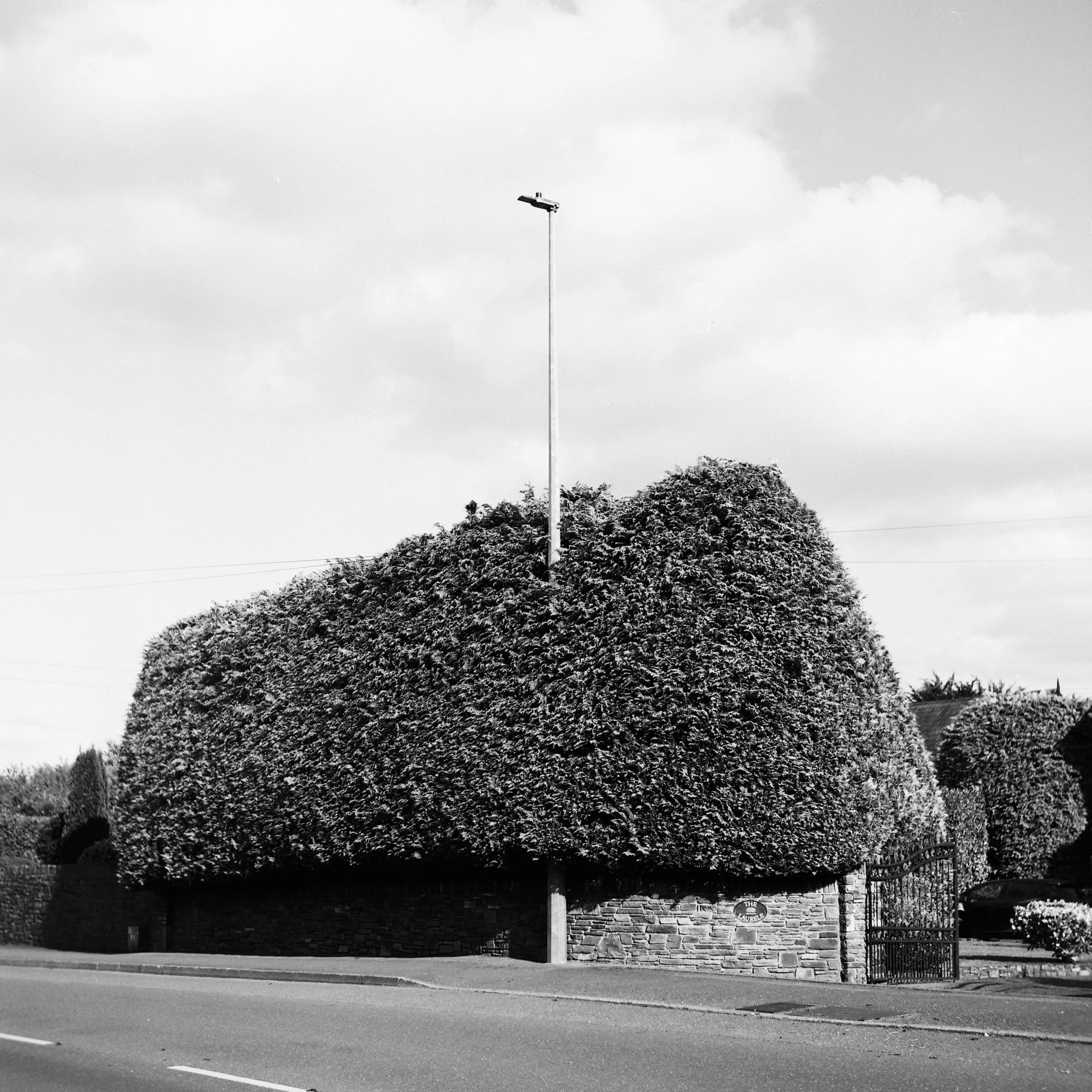 06.2025_Yashica D_Ilford Delta 100_a-02603-0006.jpg