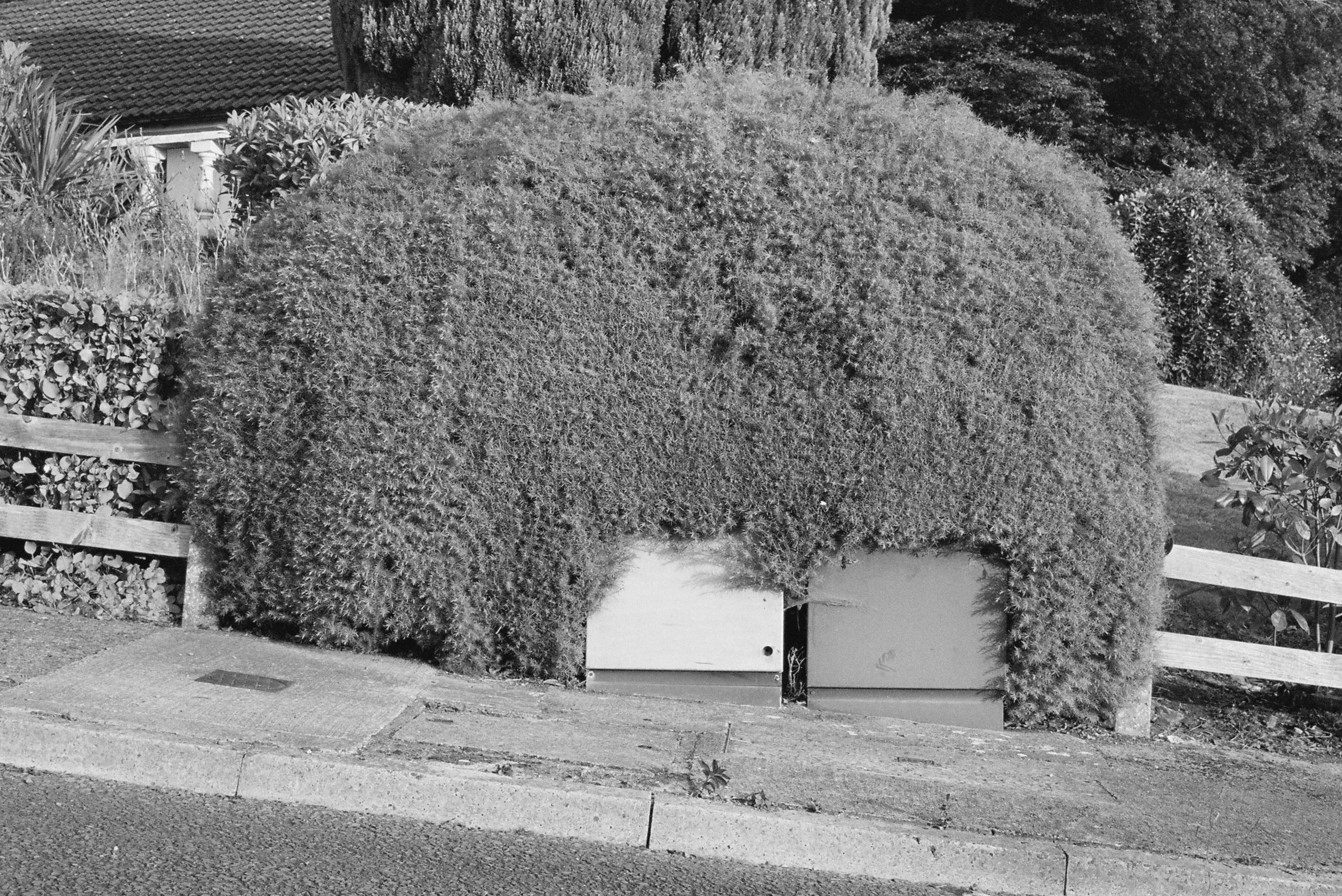 08.2022_Canon EOS 500_Lomo 800-07412-008A.jpg