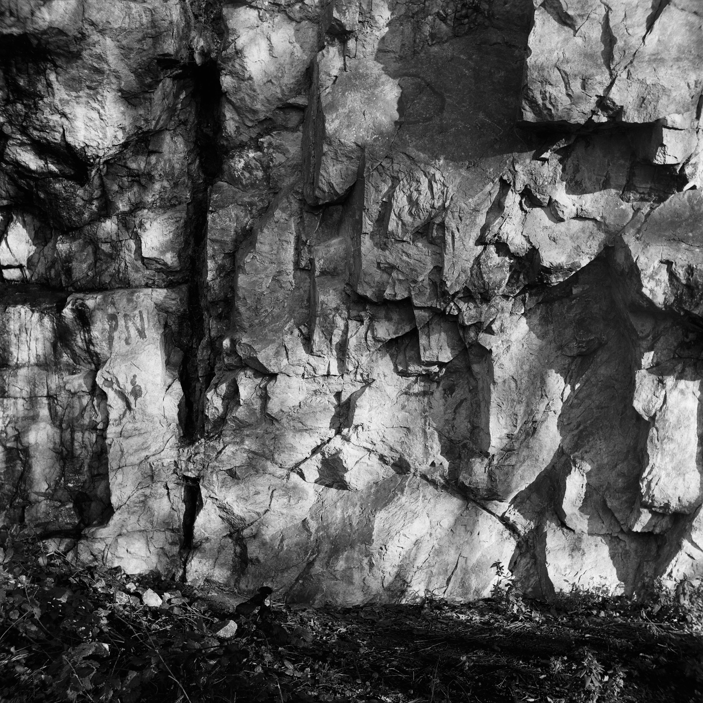 01.2026_Yashica D_Ilford HP5 Plus 200-06143-0006.jpg