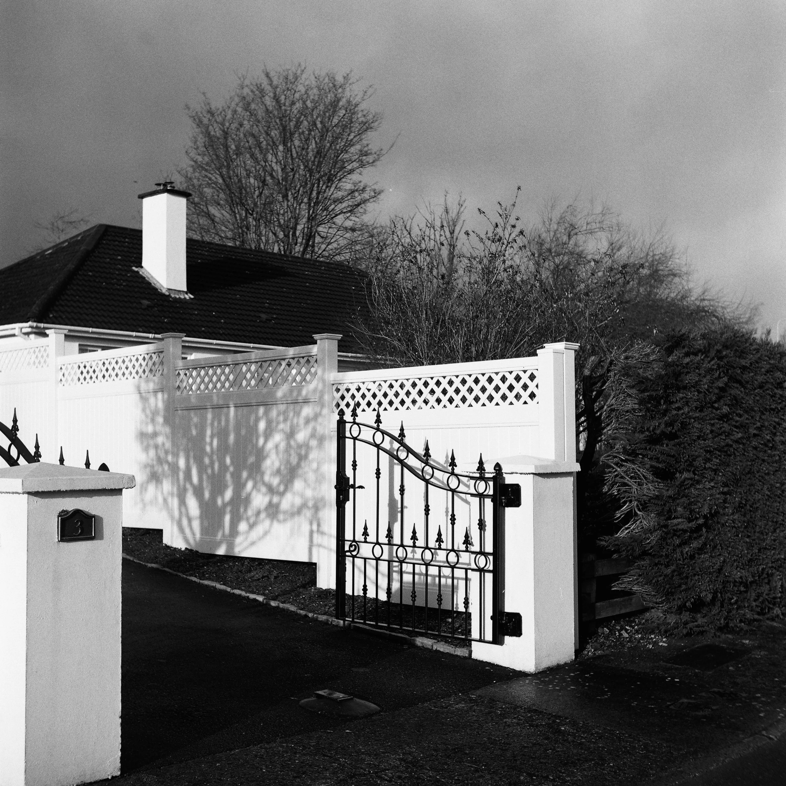 02.2026_Yashica D_Ilford HP5 400_c-06806-0009.jpg