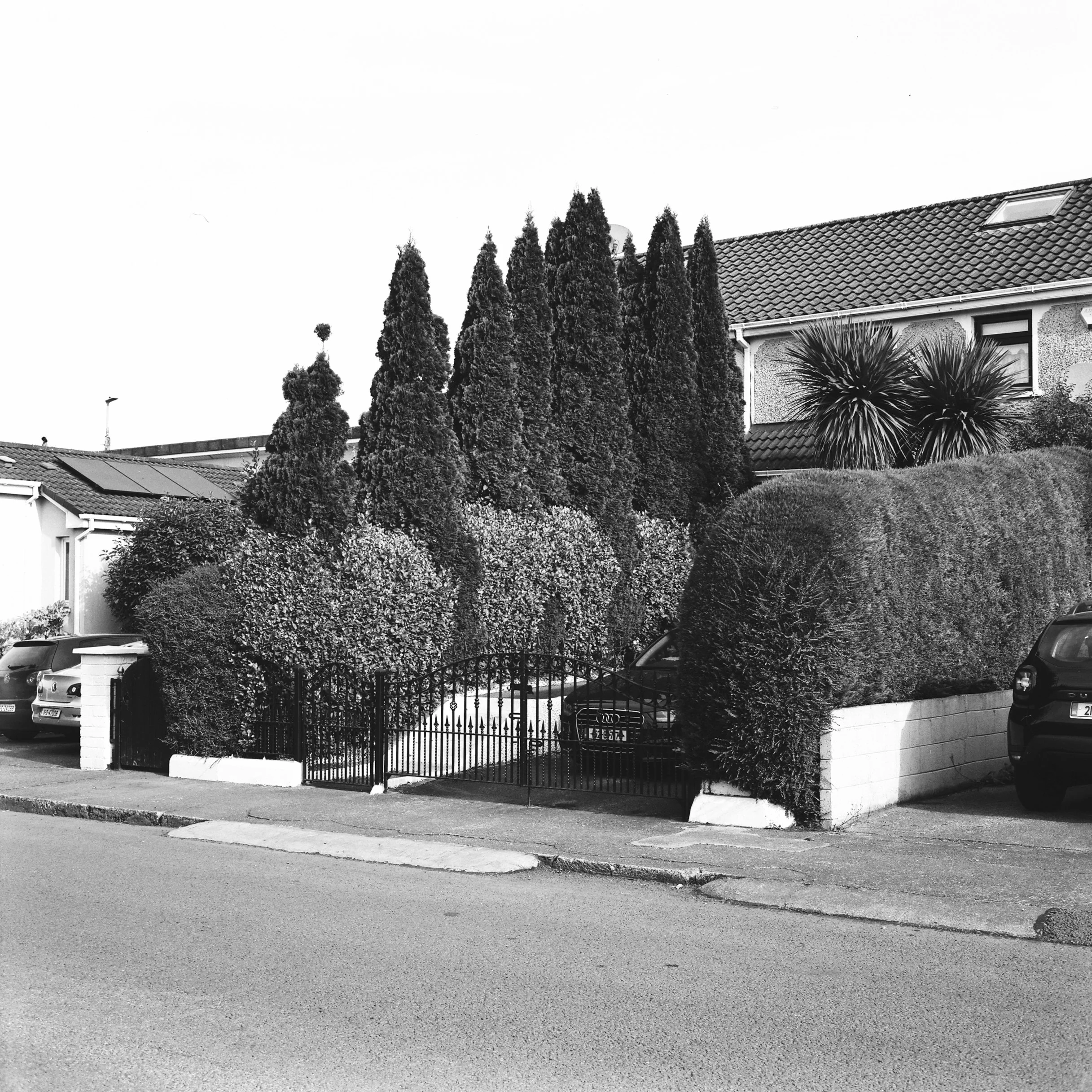 08.2025_Fujica Super 6_Ilford Delta 100-05022-0005.jpg