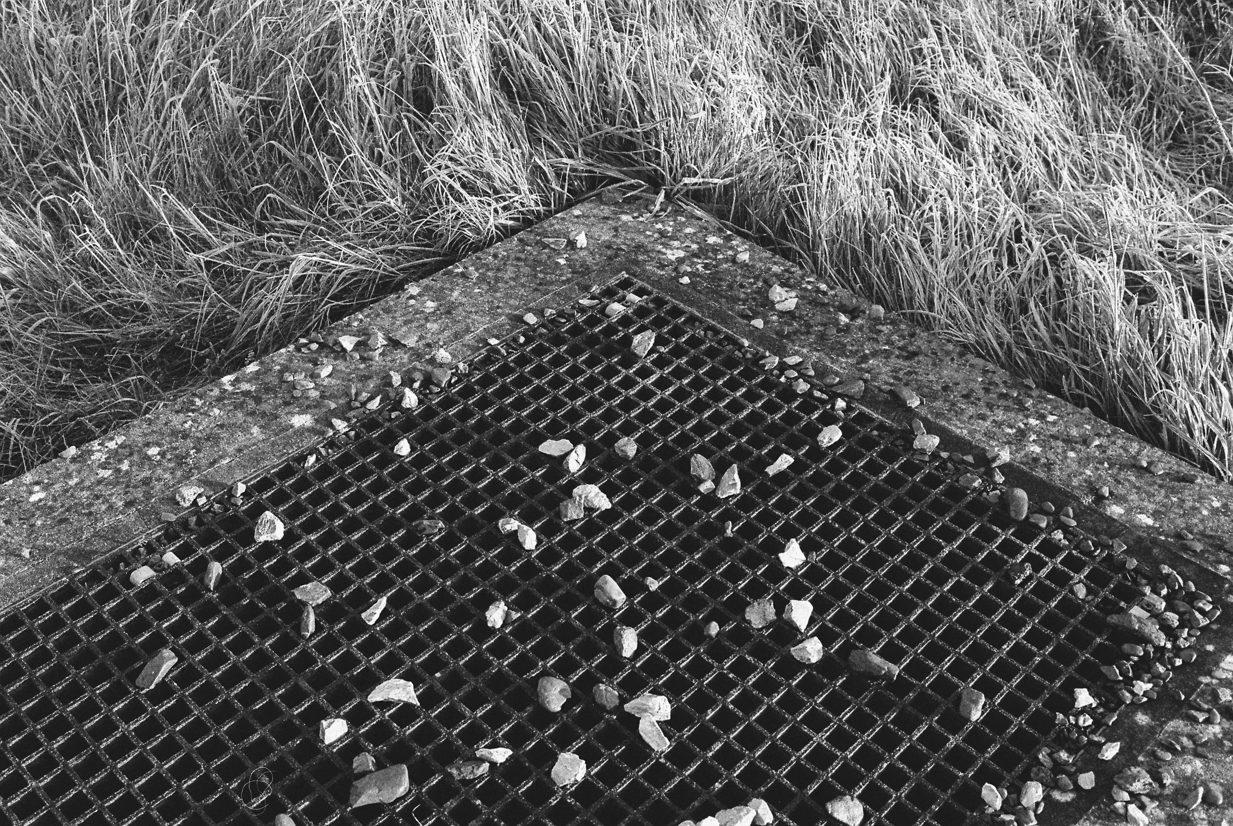 01.2026_Canon EOS 500_Ilford HP5 400-06607-0030.jpg