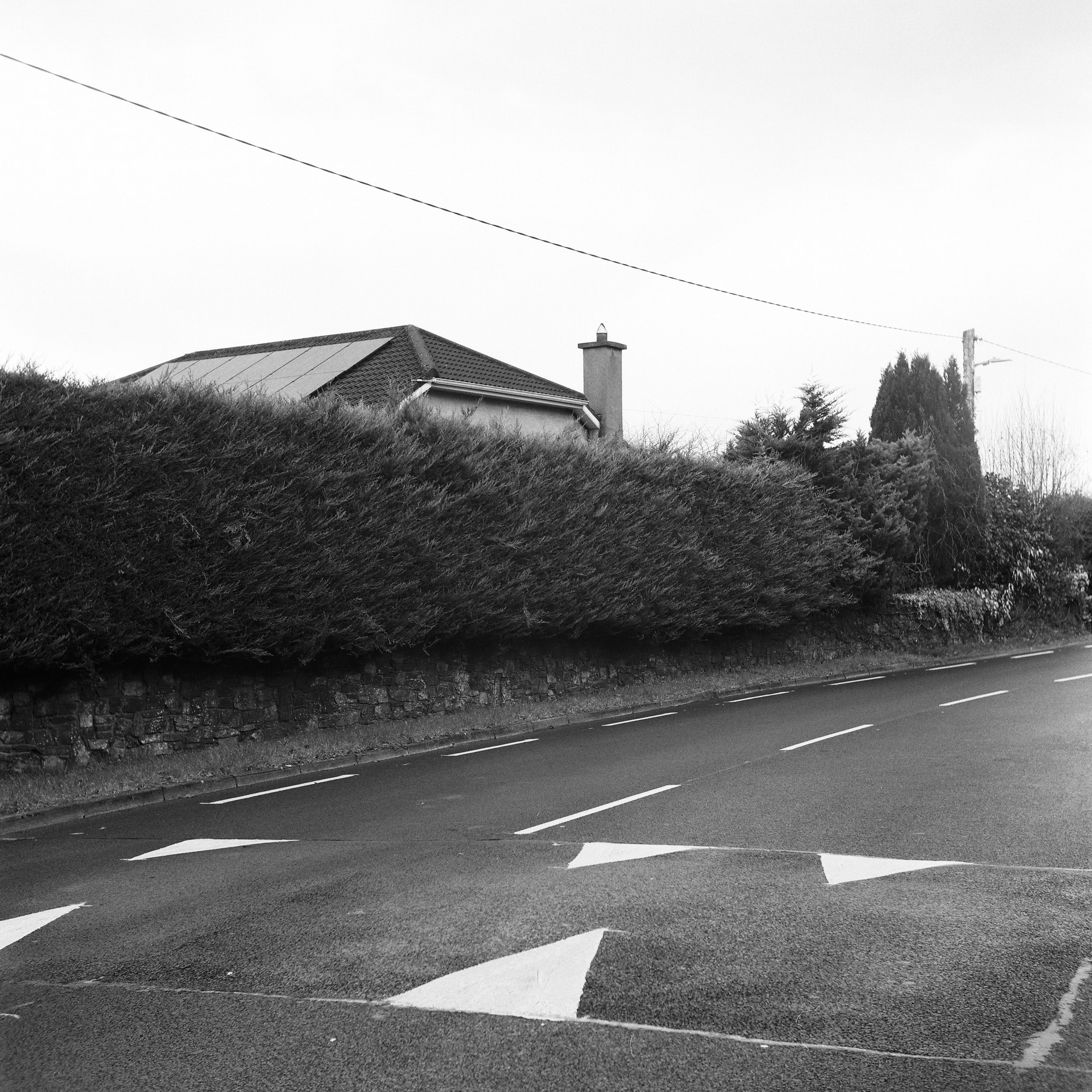 02.2026_Yashica D_Ilford HP5 400_c-06806-0007.jpg