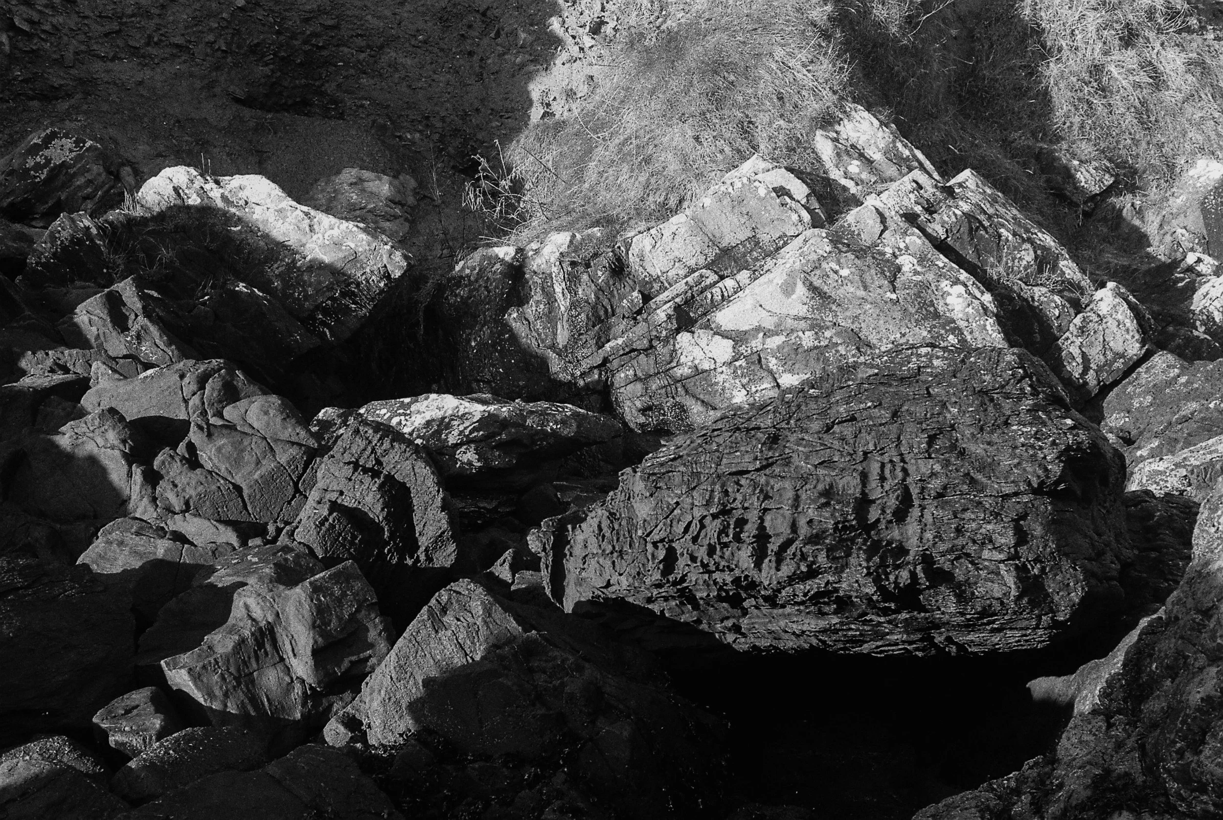 01.2025_Canon P_Ilford HP5 400-00928-0031-2.jpg