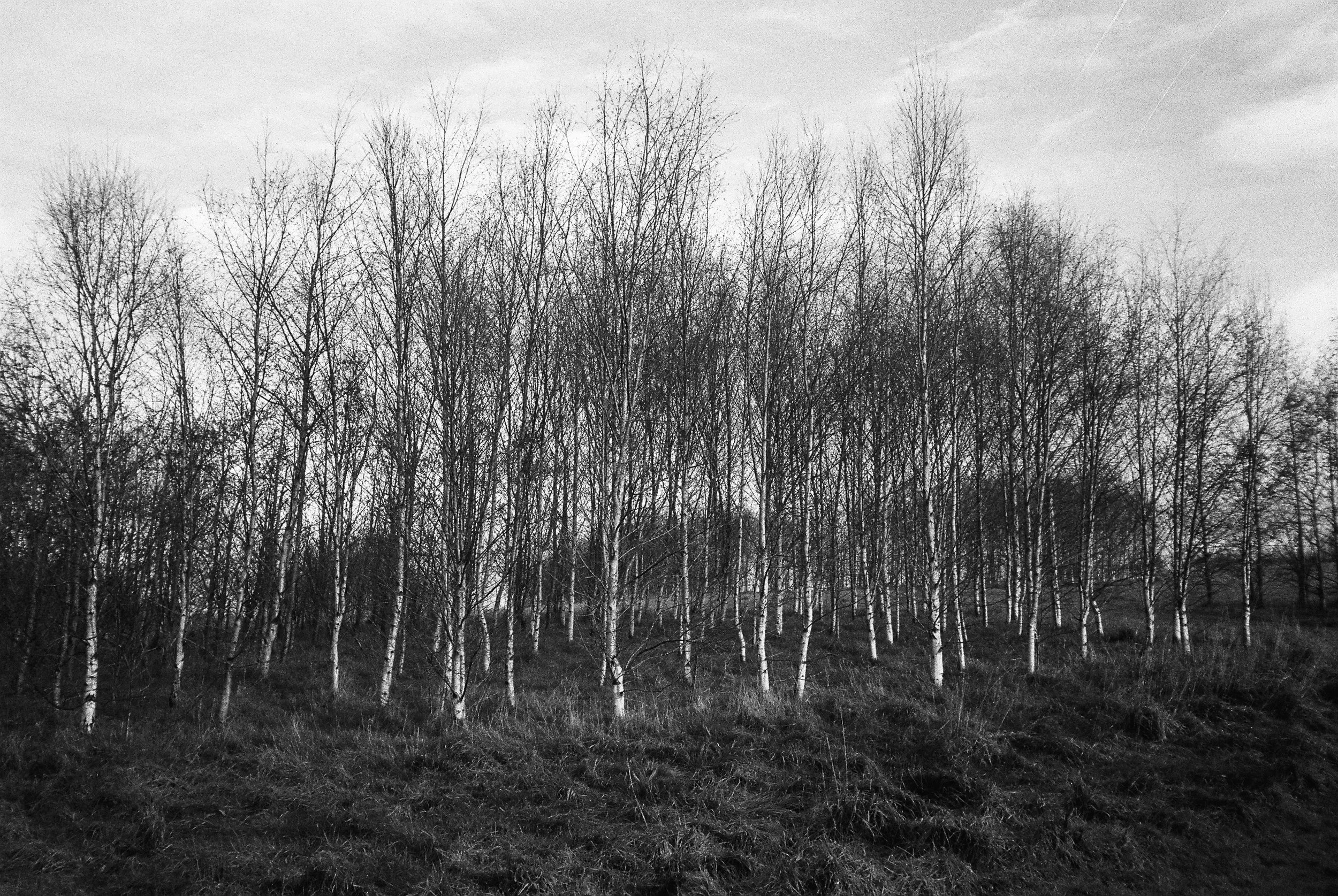 01.2026_Chinon Auto 3001_Ilford HP5 Plus 400-06057-0000.jpg